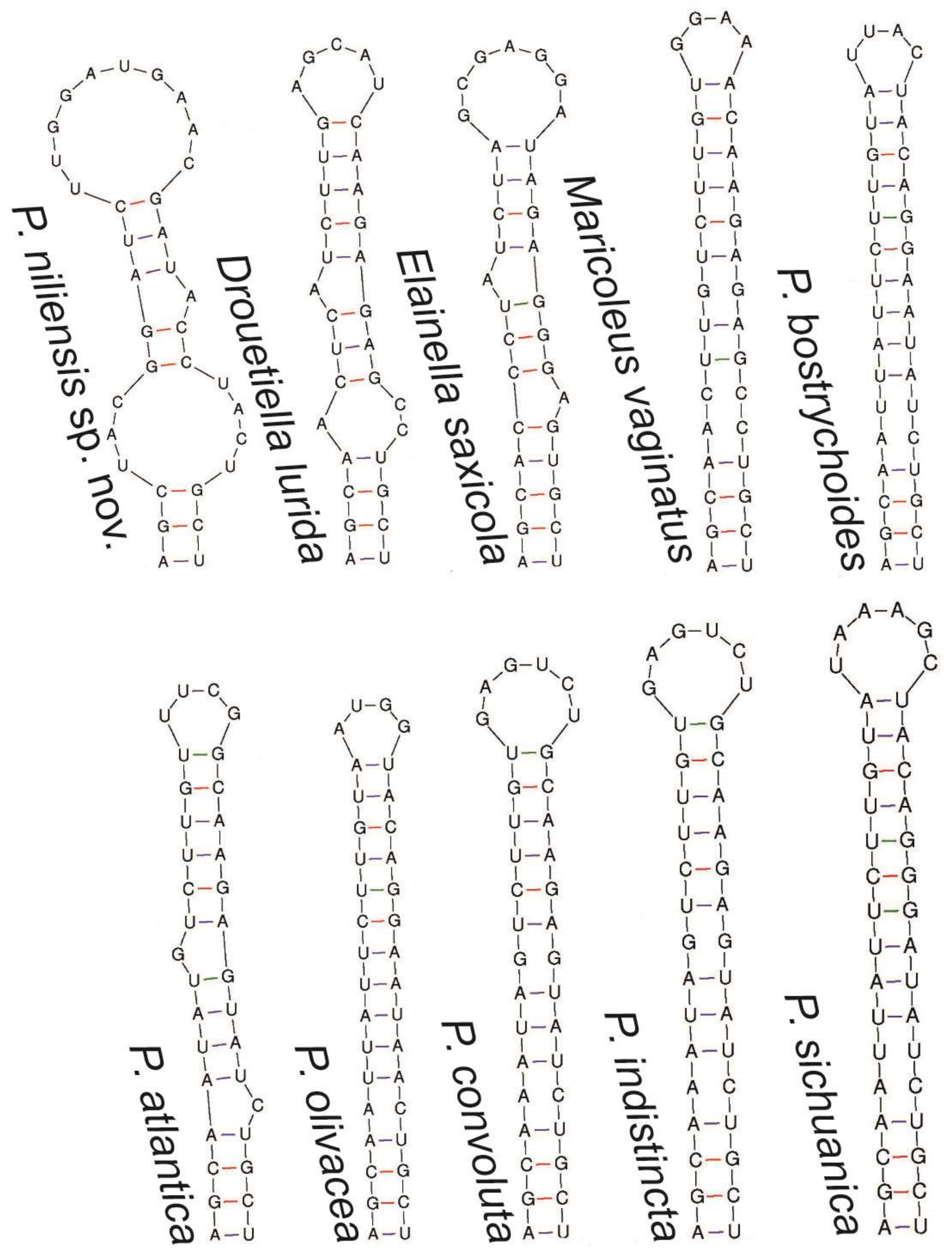 Toxins 16 00451 g006