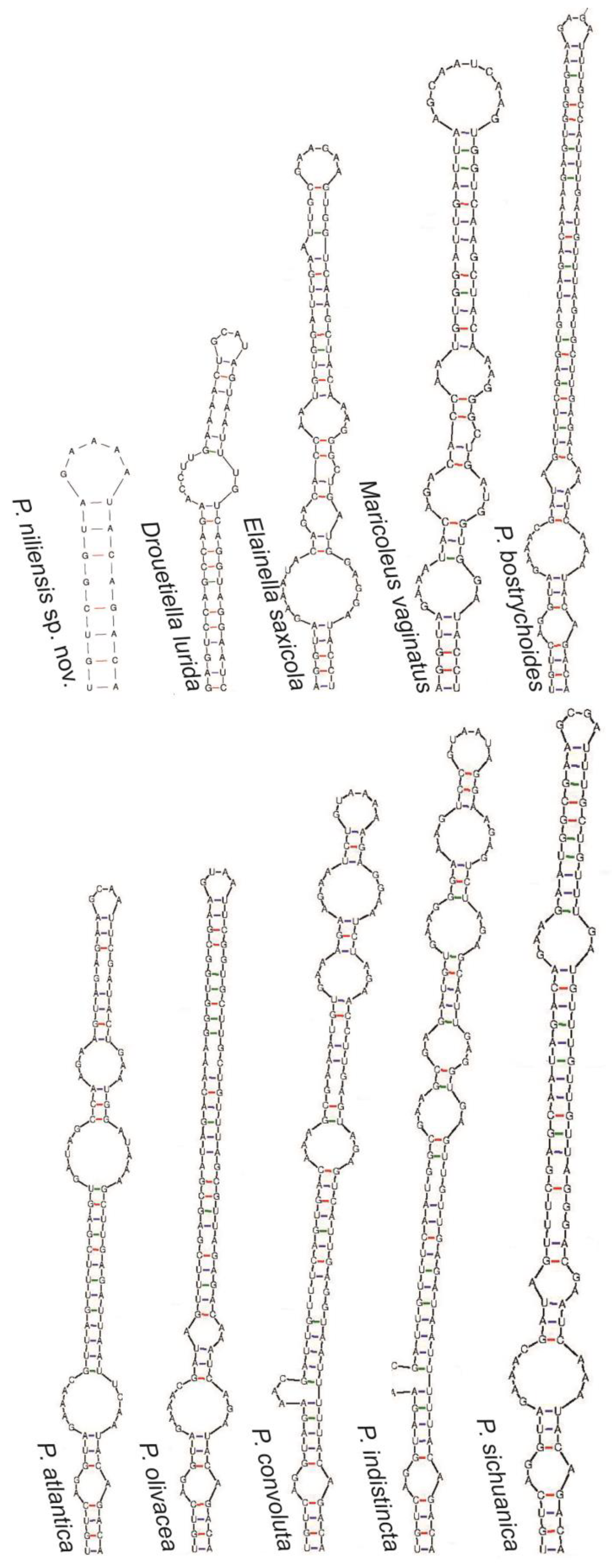 Toxins 16 00451 g007