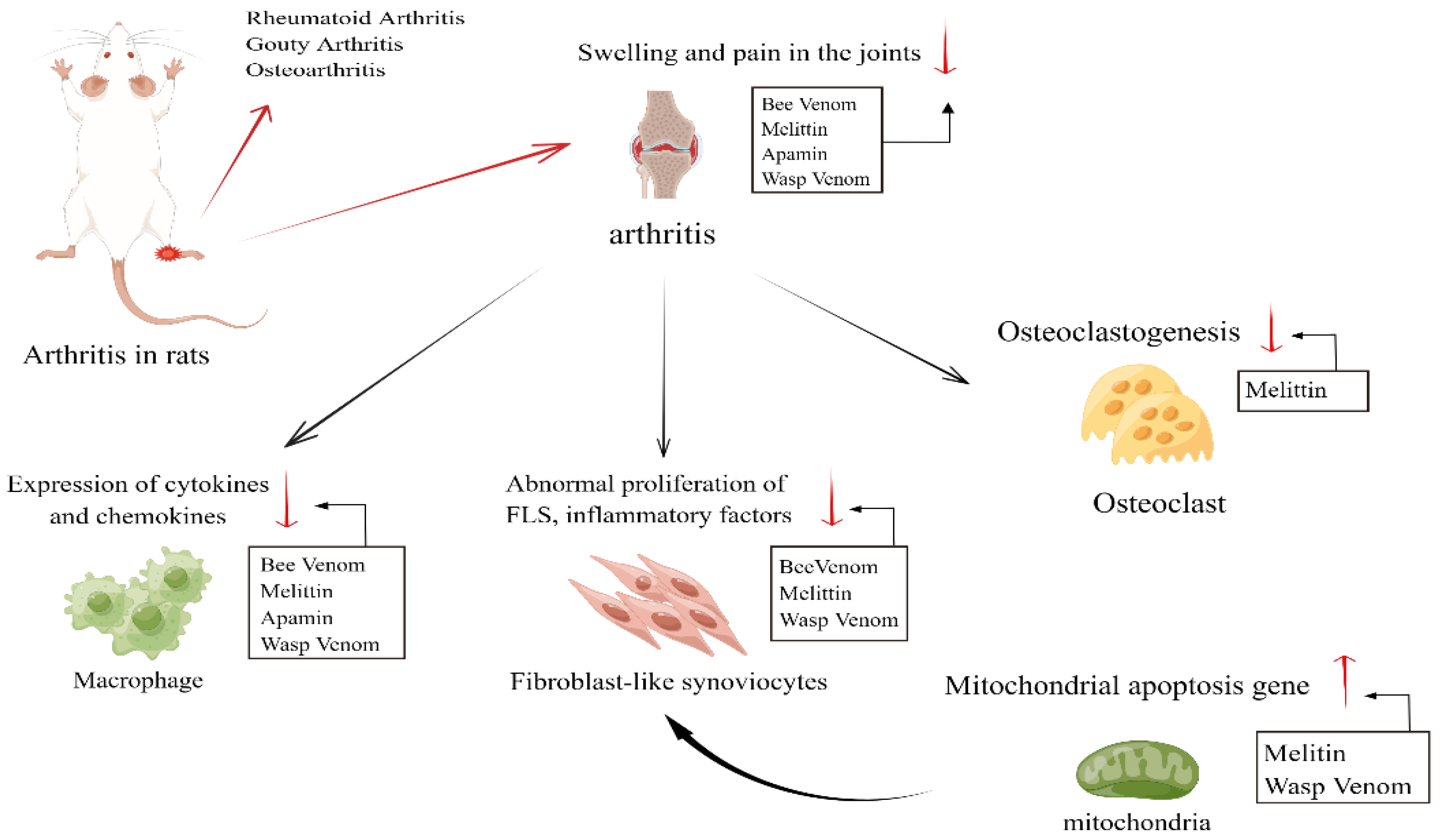 Toxins 16 00452 g001