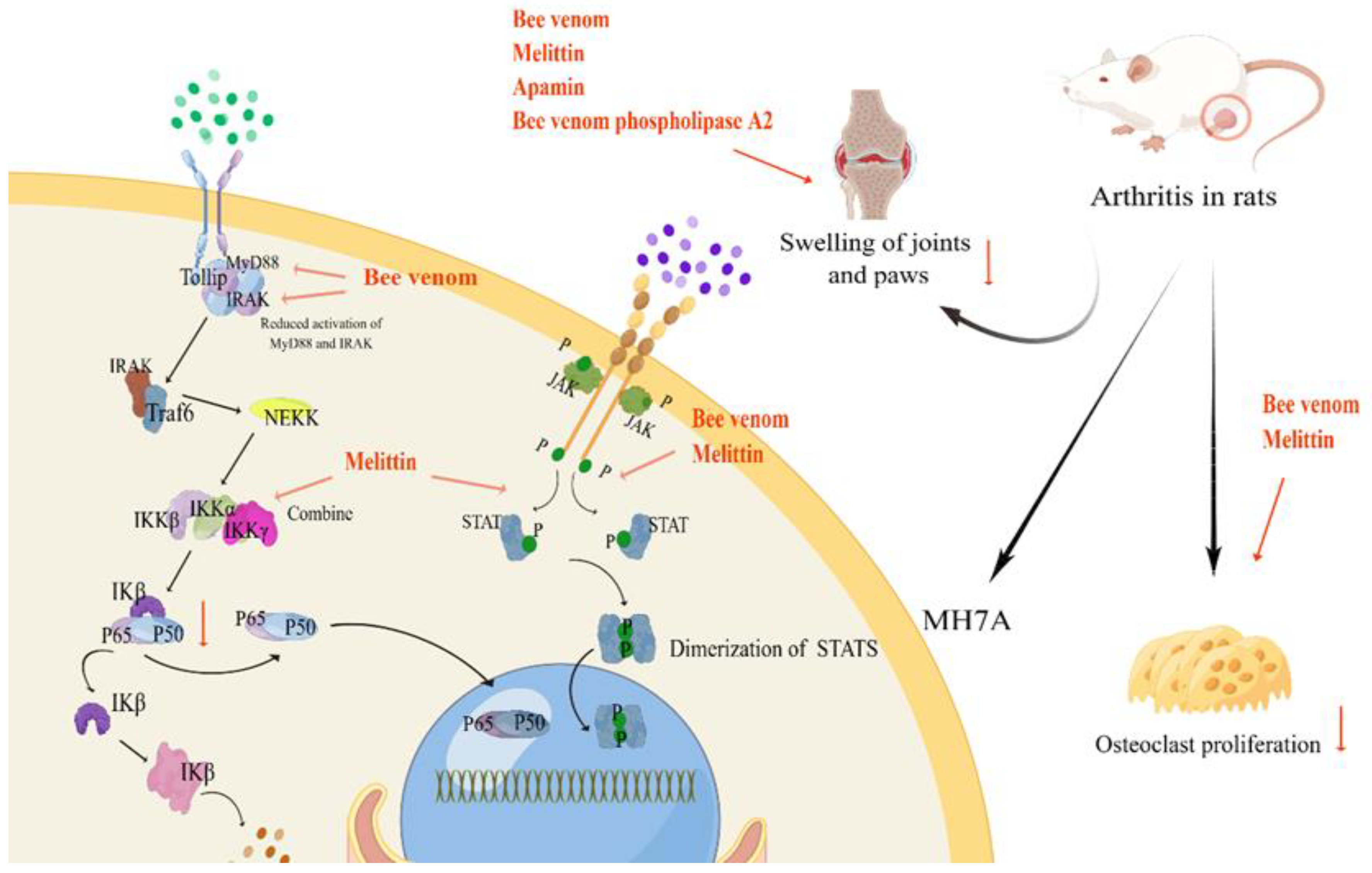 Toxins 16 00452 g002