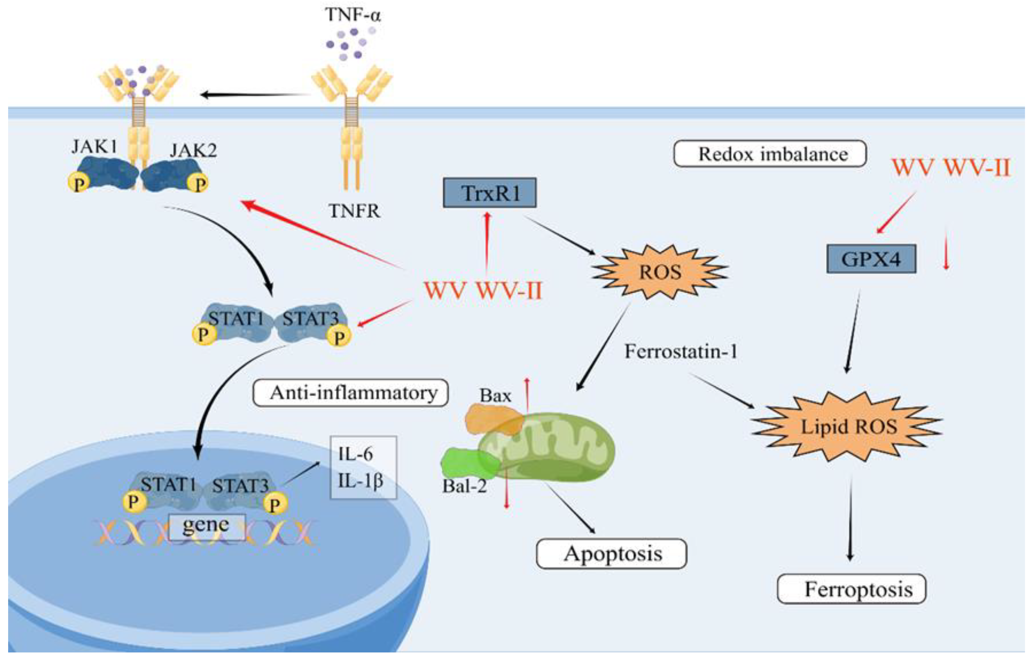 Toxins 16 00452 g003