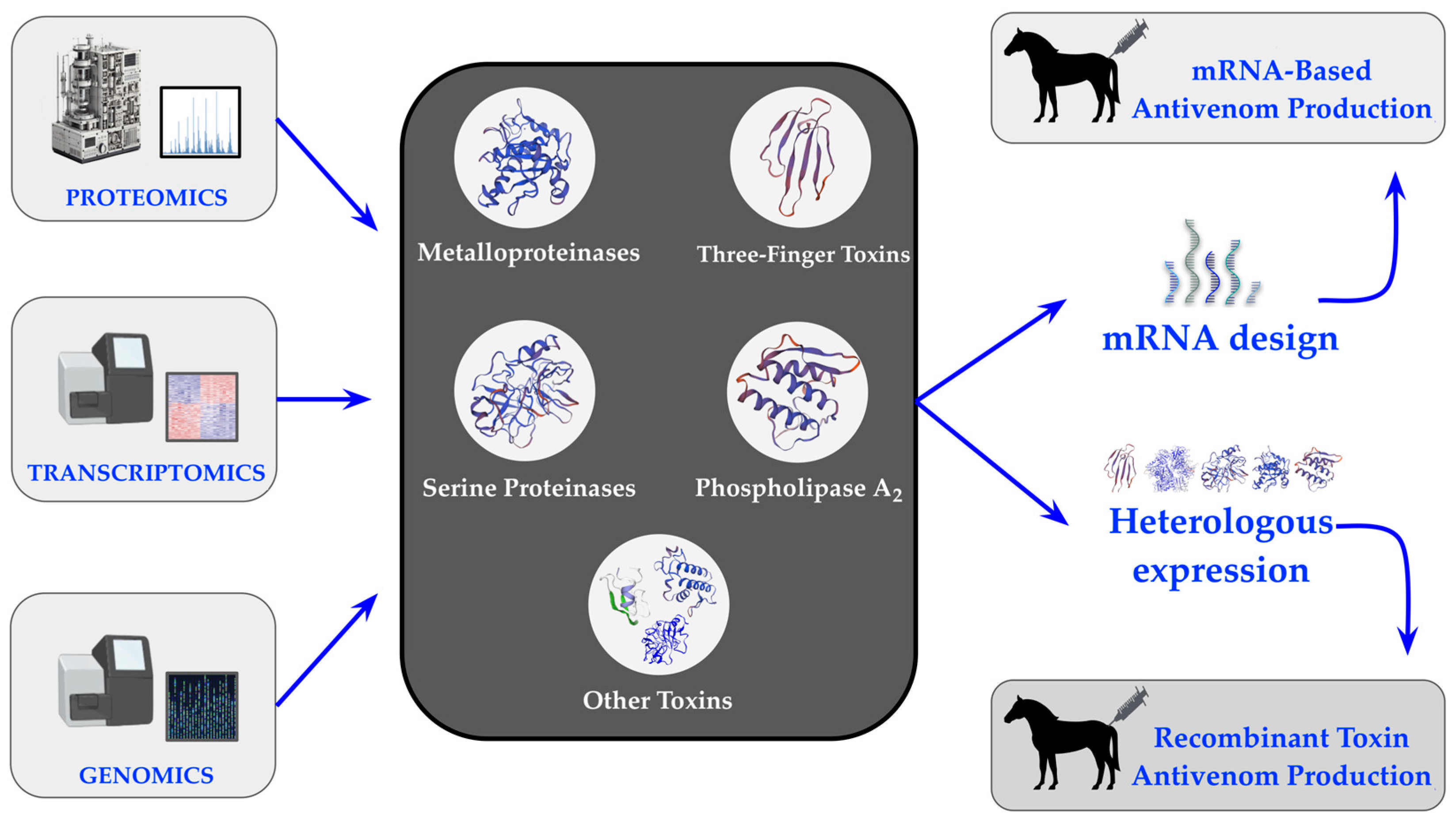 Toxins 16 00458 g002 Toxins 16 00458 g002