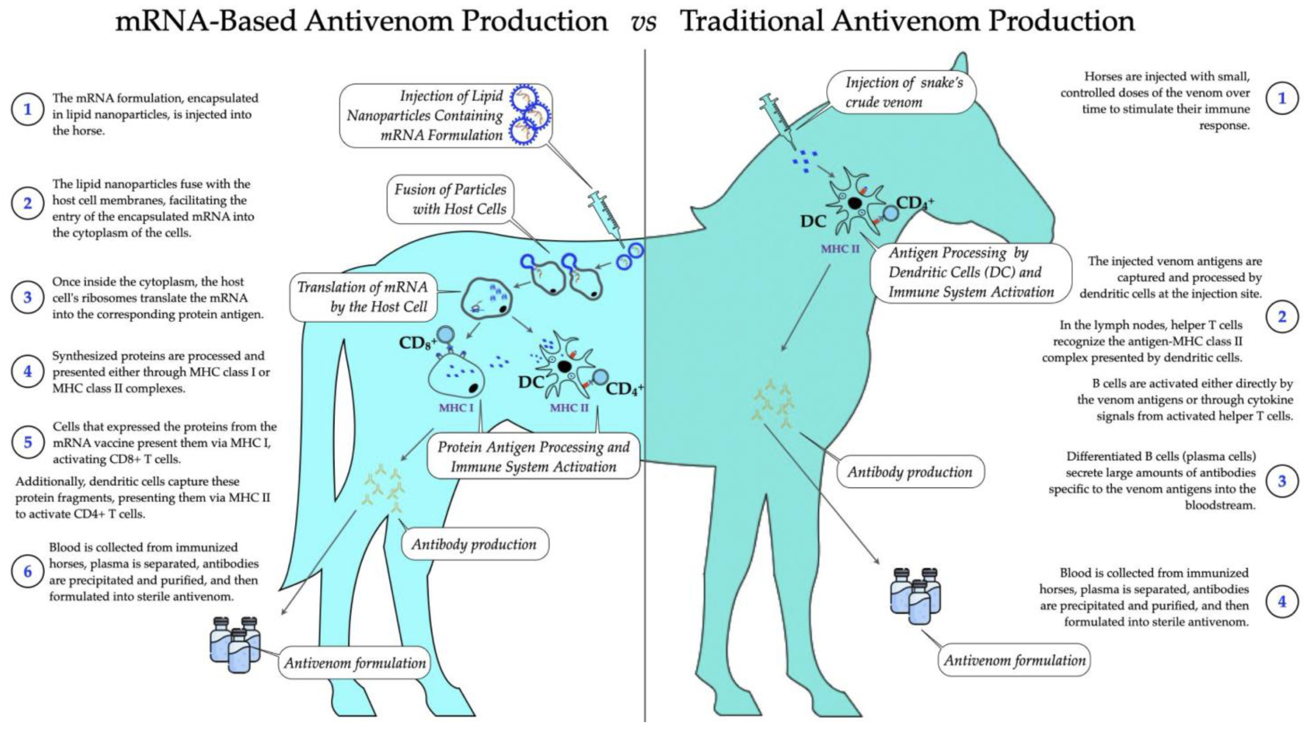 Toxins 16 00458 g003 Toxins 16 00458 g003