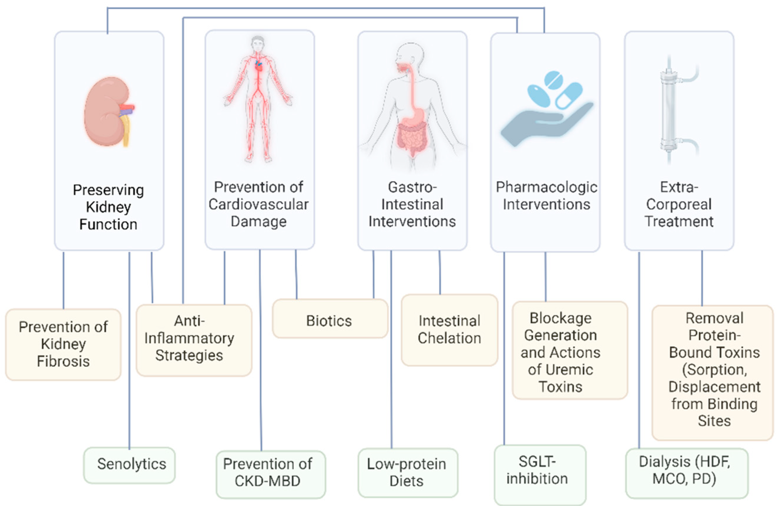 Toxins 16 00463 g001