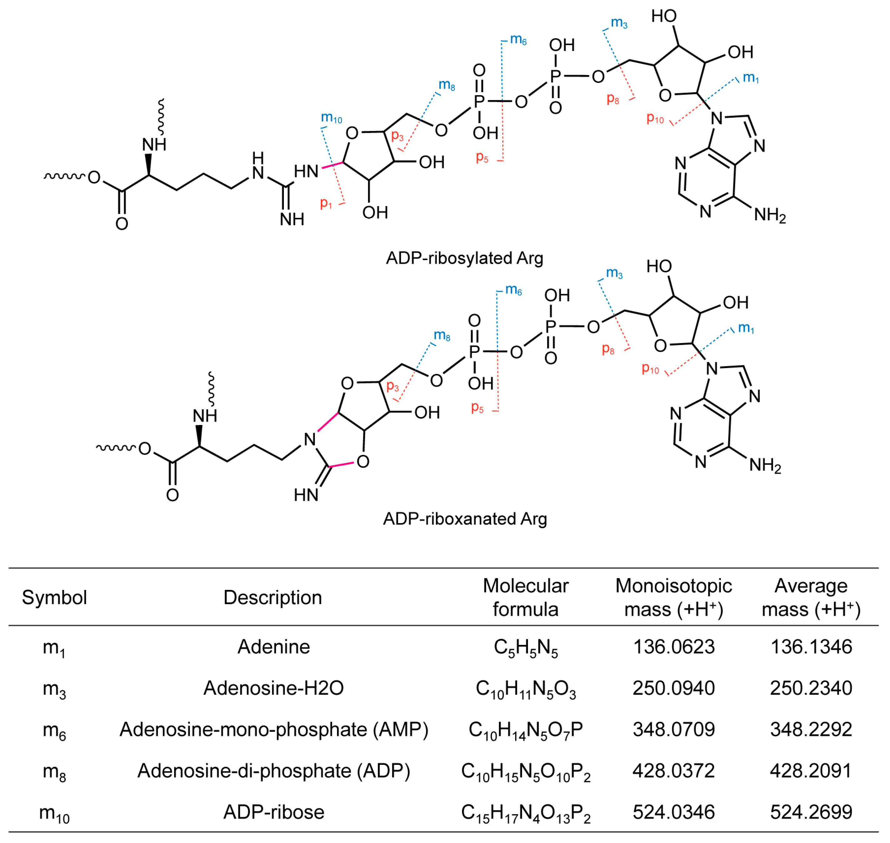 Toxins 16 00467 g001