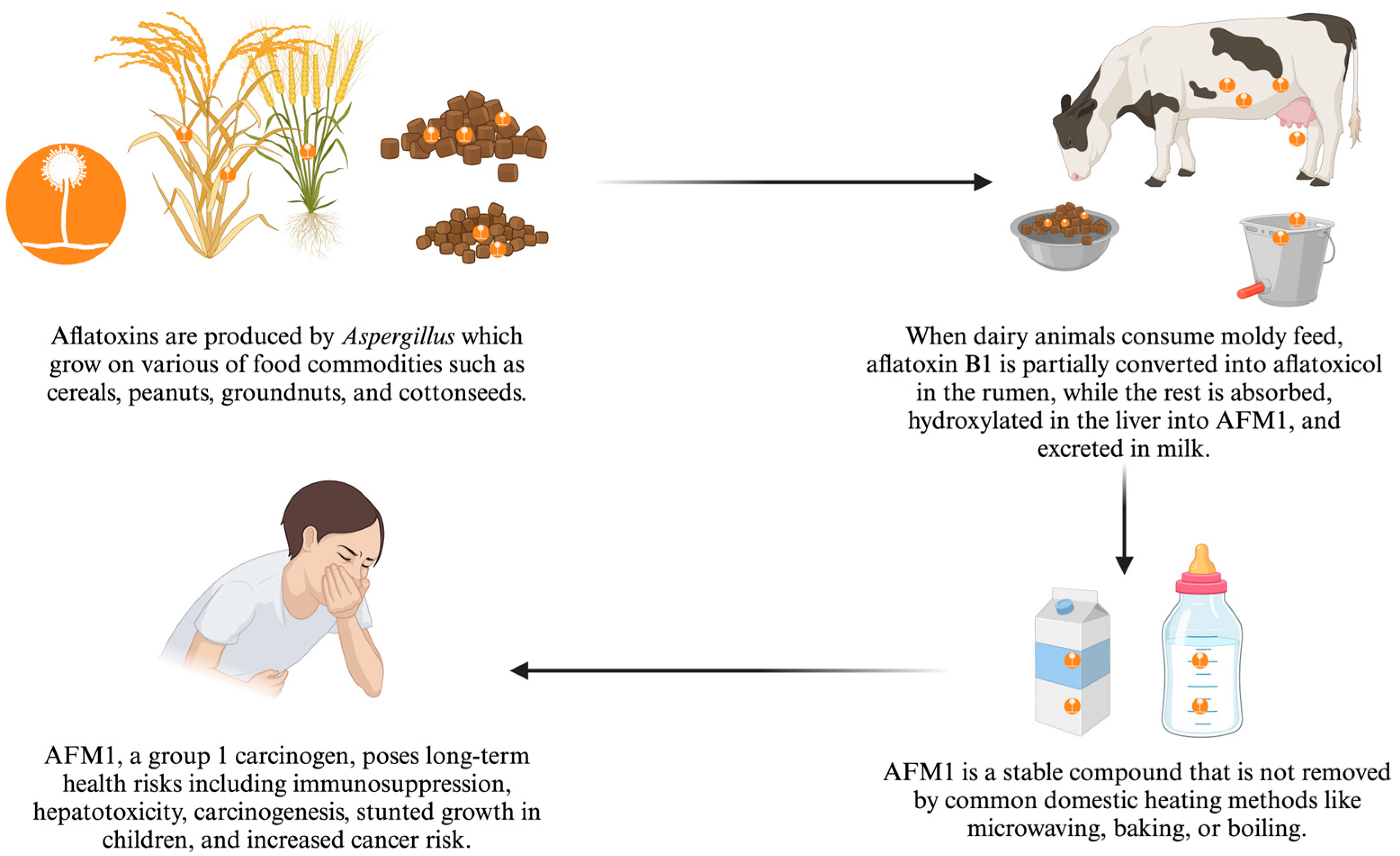 Toxins 16 00468 g001