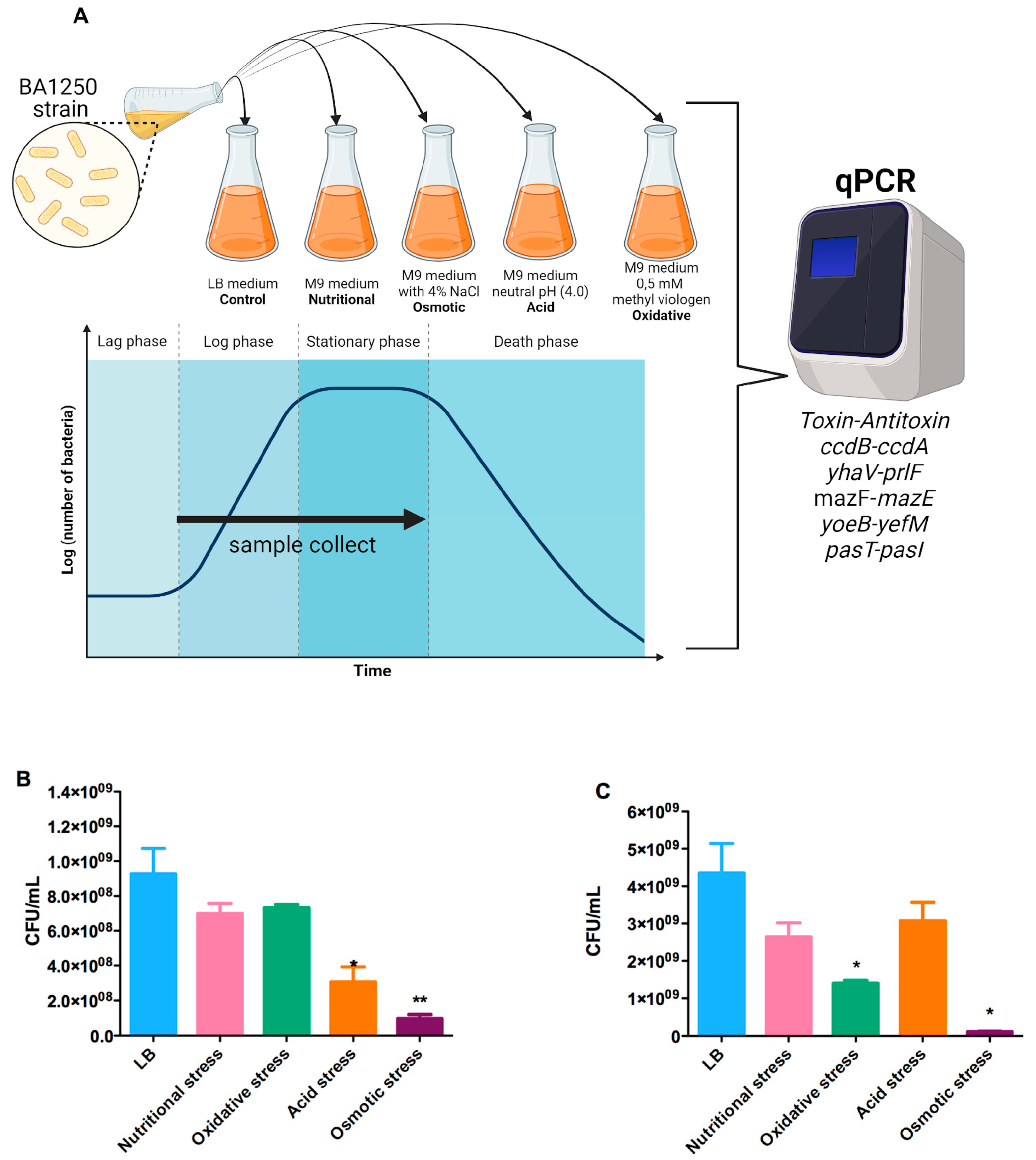 Toxins 16 00469 g001