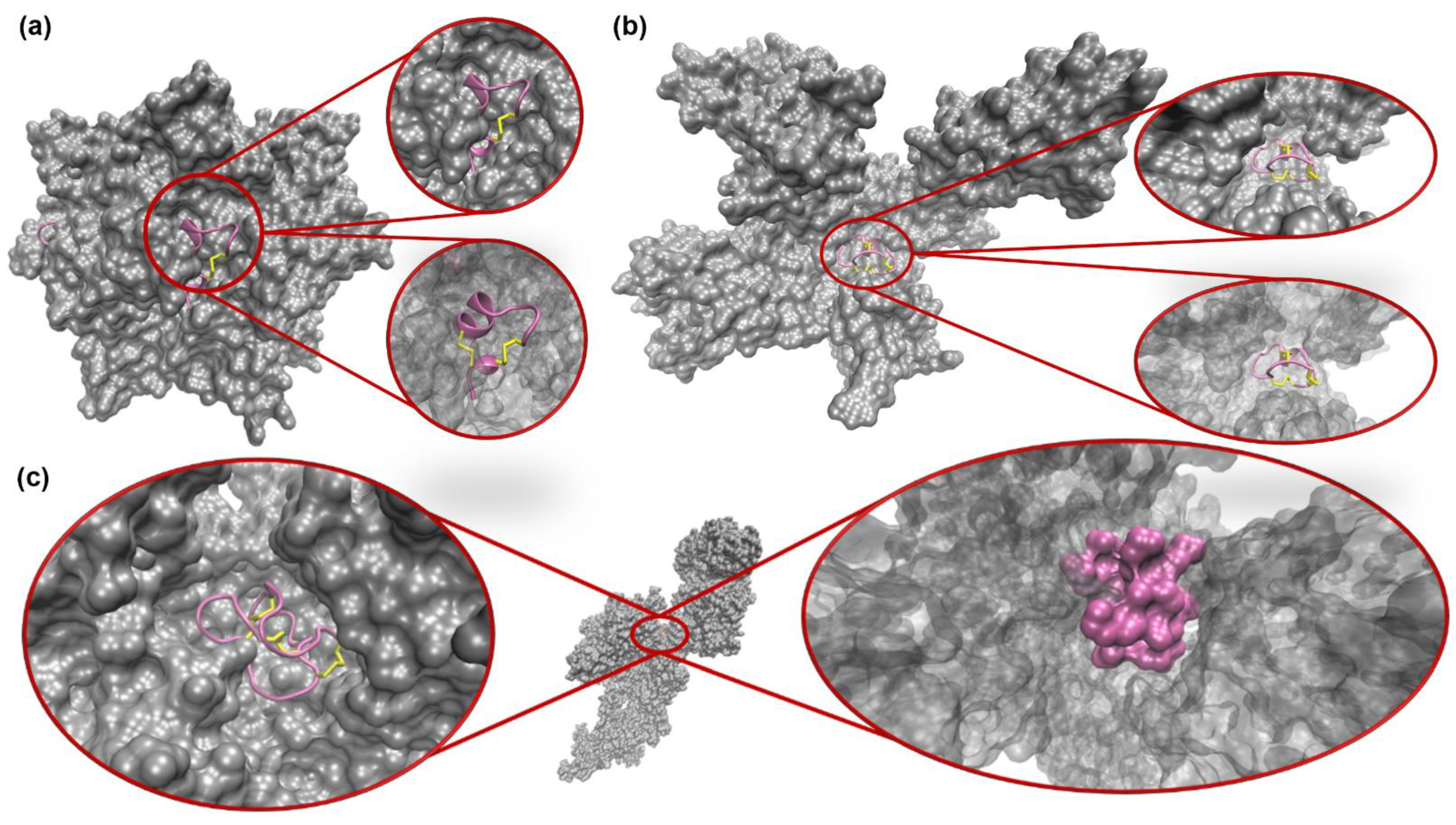 Toxins 16 00475 g002
