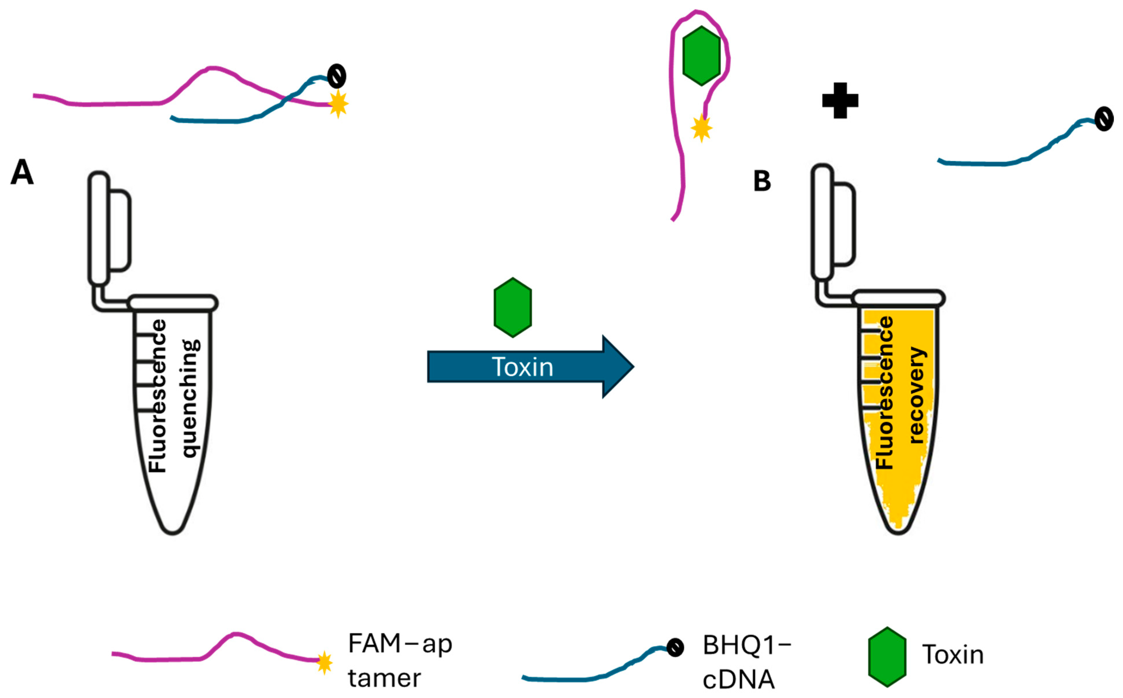 Toxins 16 00476 g001
