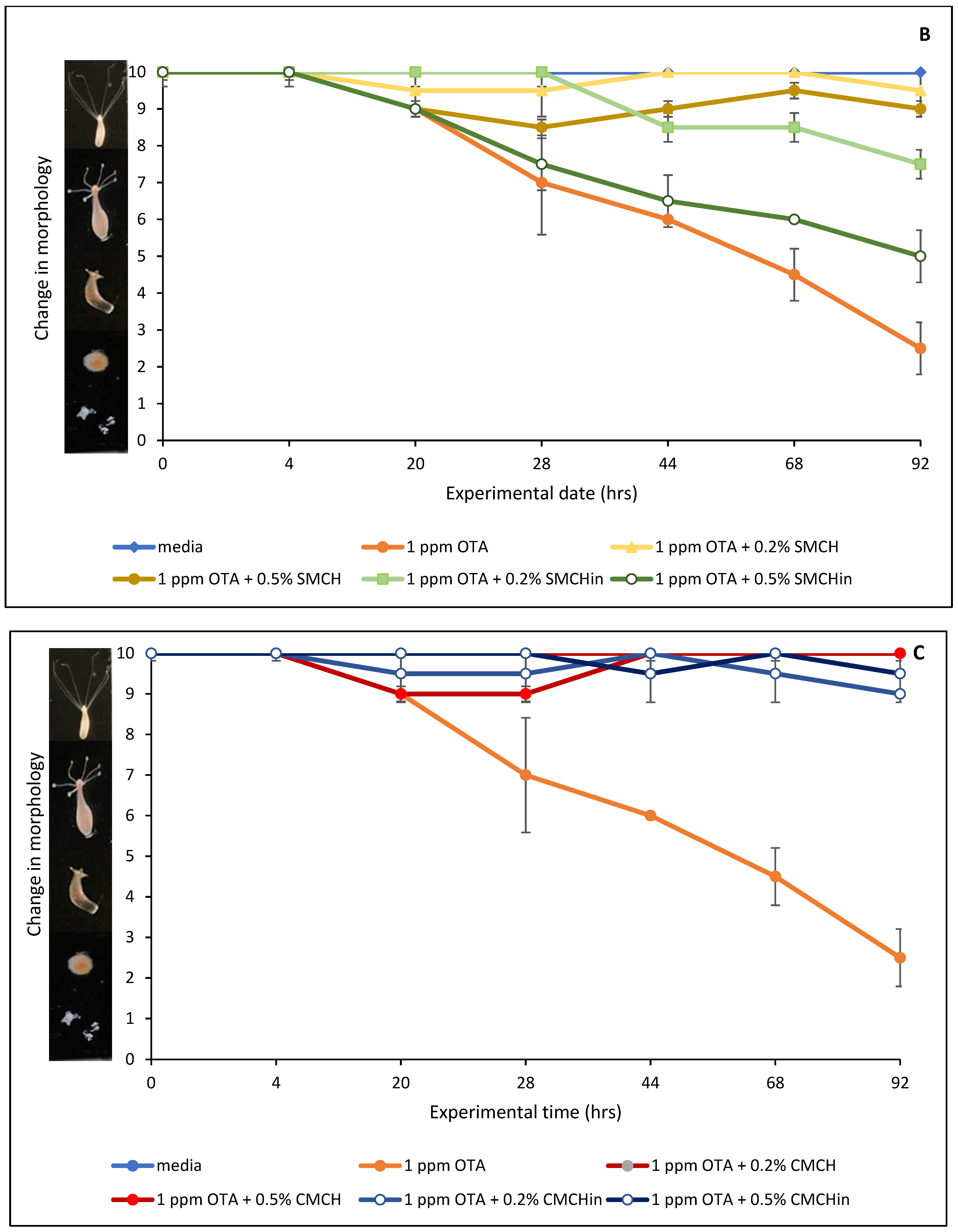 Toxins 16 00479 g005b Toxins 16 00479 g005b