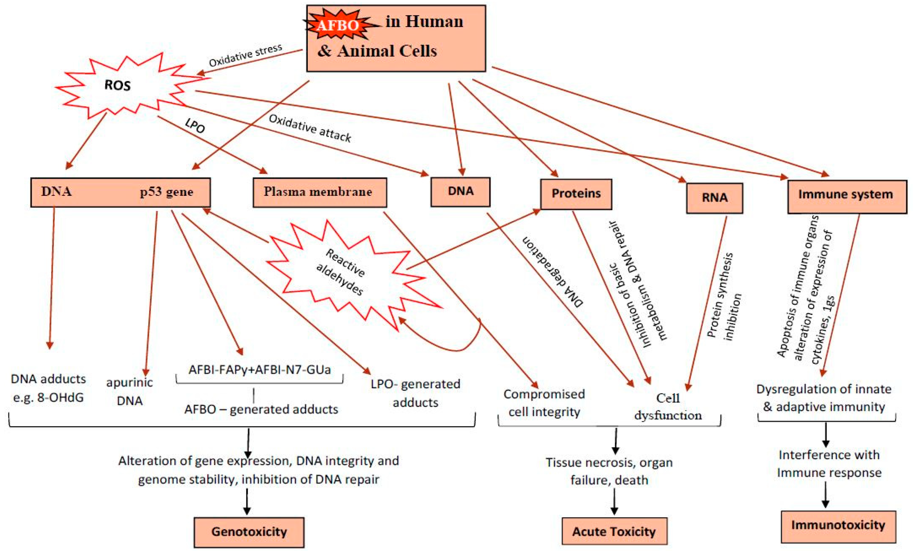 Toxins 16 00483 g003 Toxins 16 00483 g003