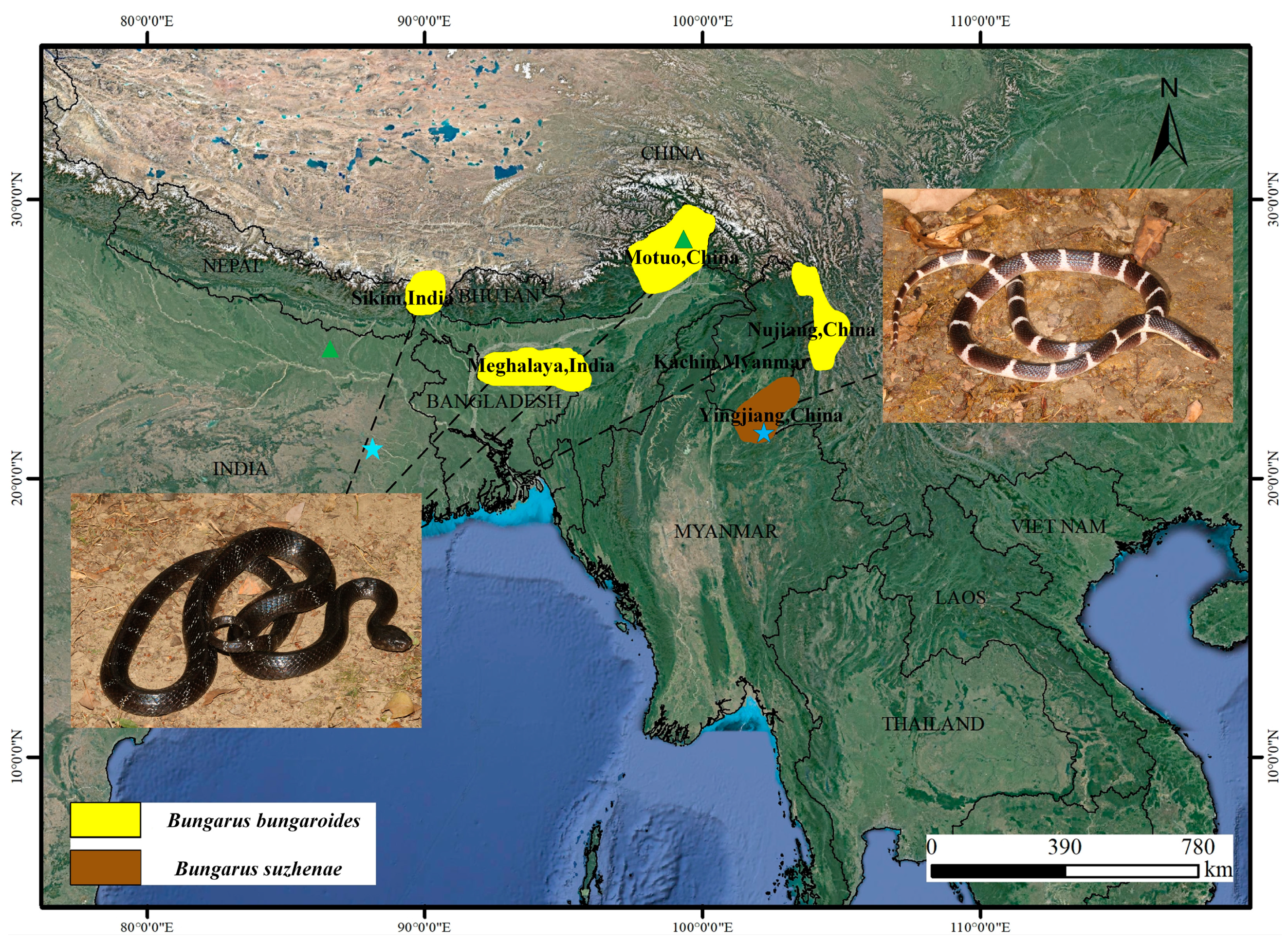 Toxins 16 00494 g001