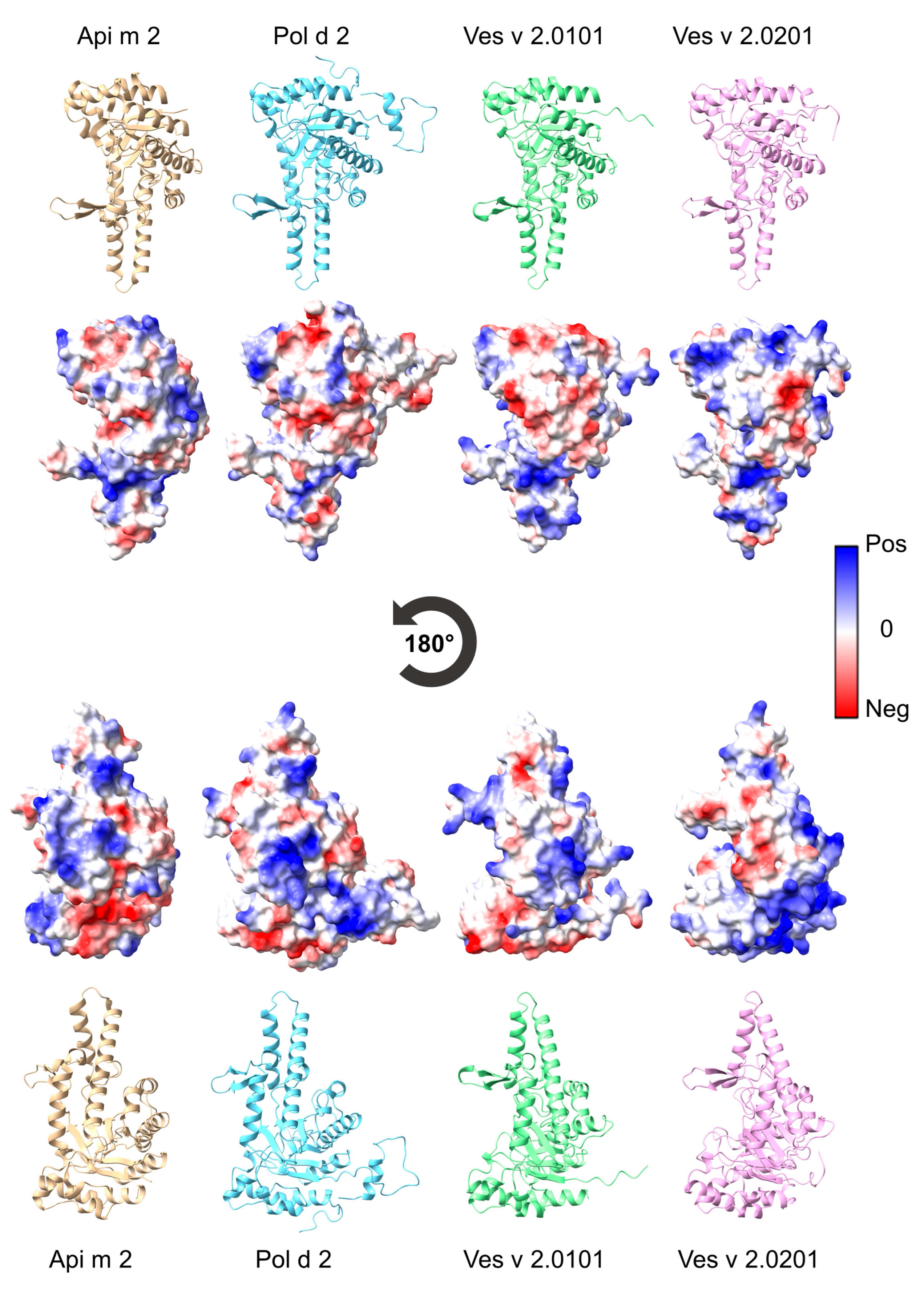 Toxins 16 00498 g001