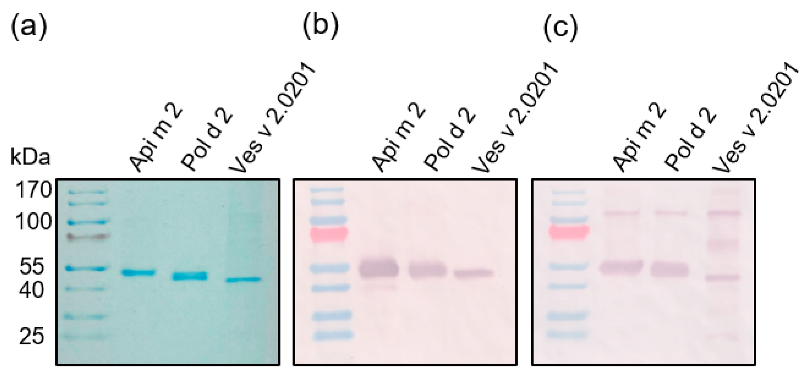 Toxins 16 00498 g004