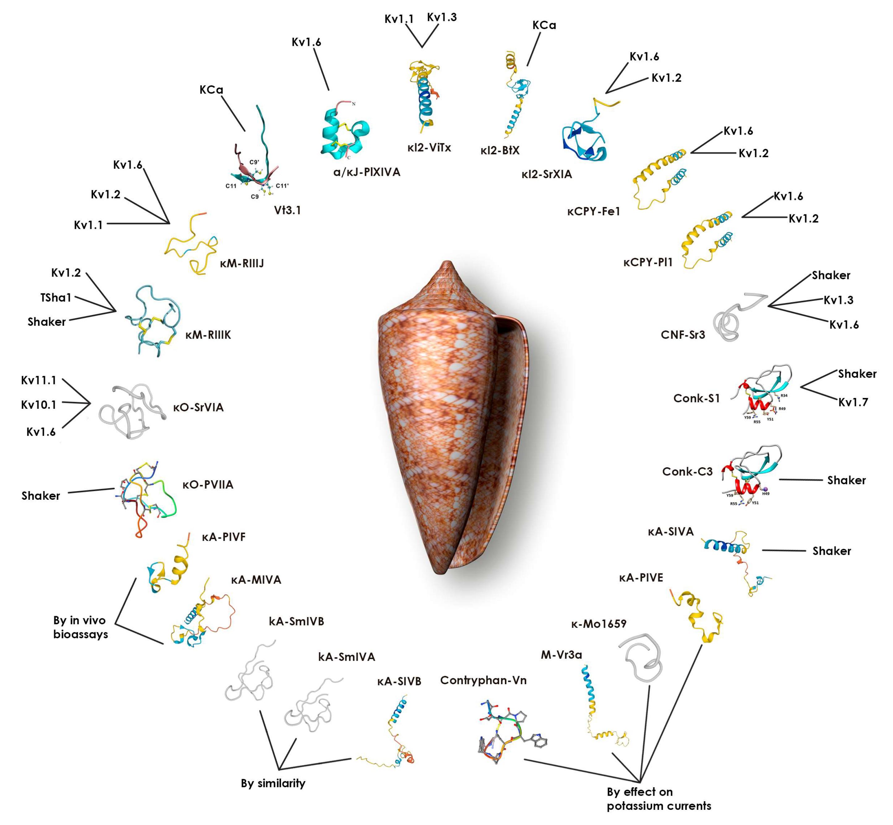Toxins 16 00504 g001