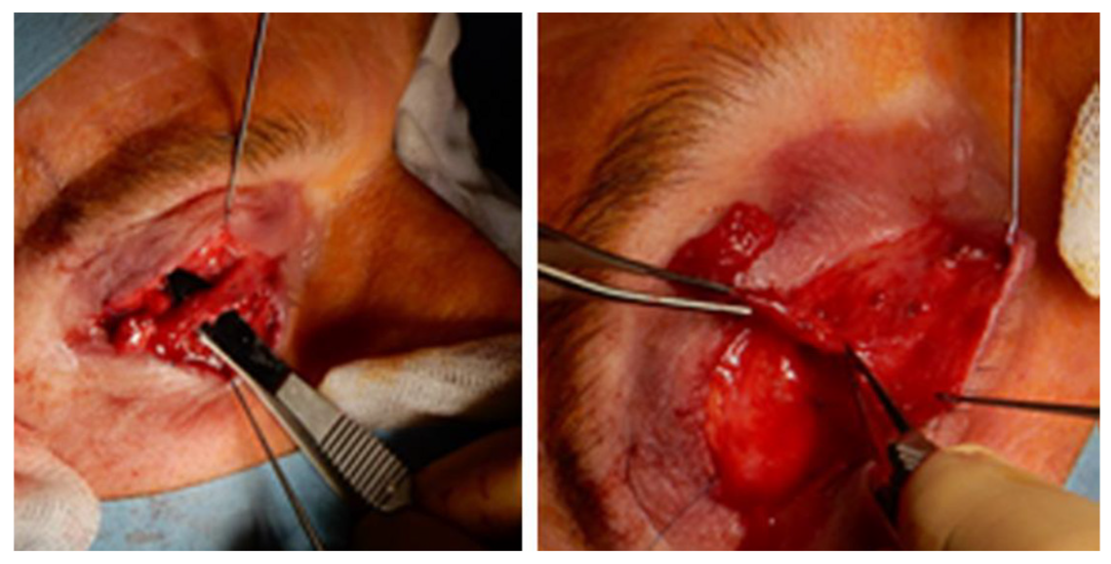 Toxins 16 00506 g0a2