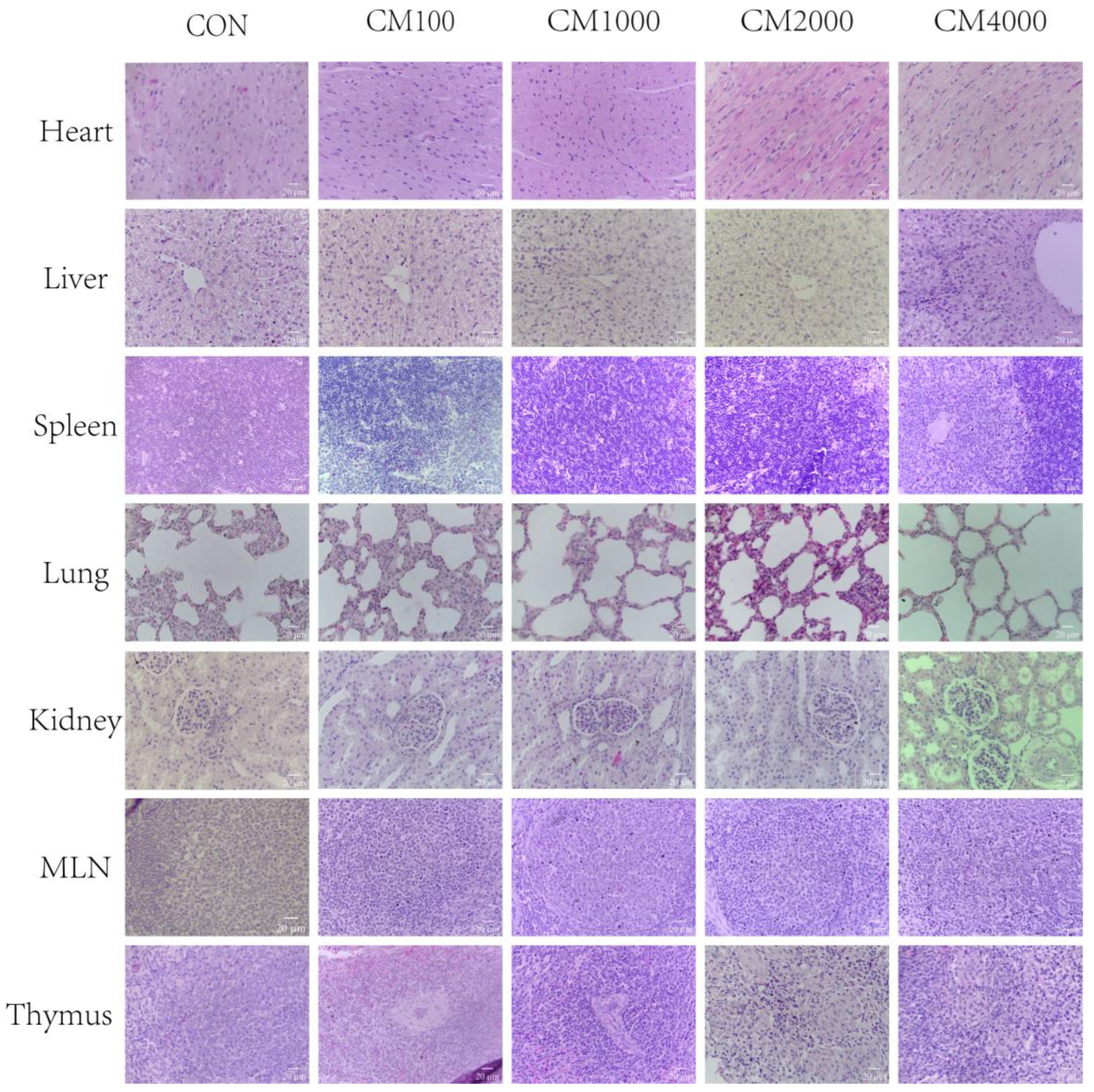 Toxins 16 00507 g001