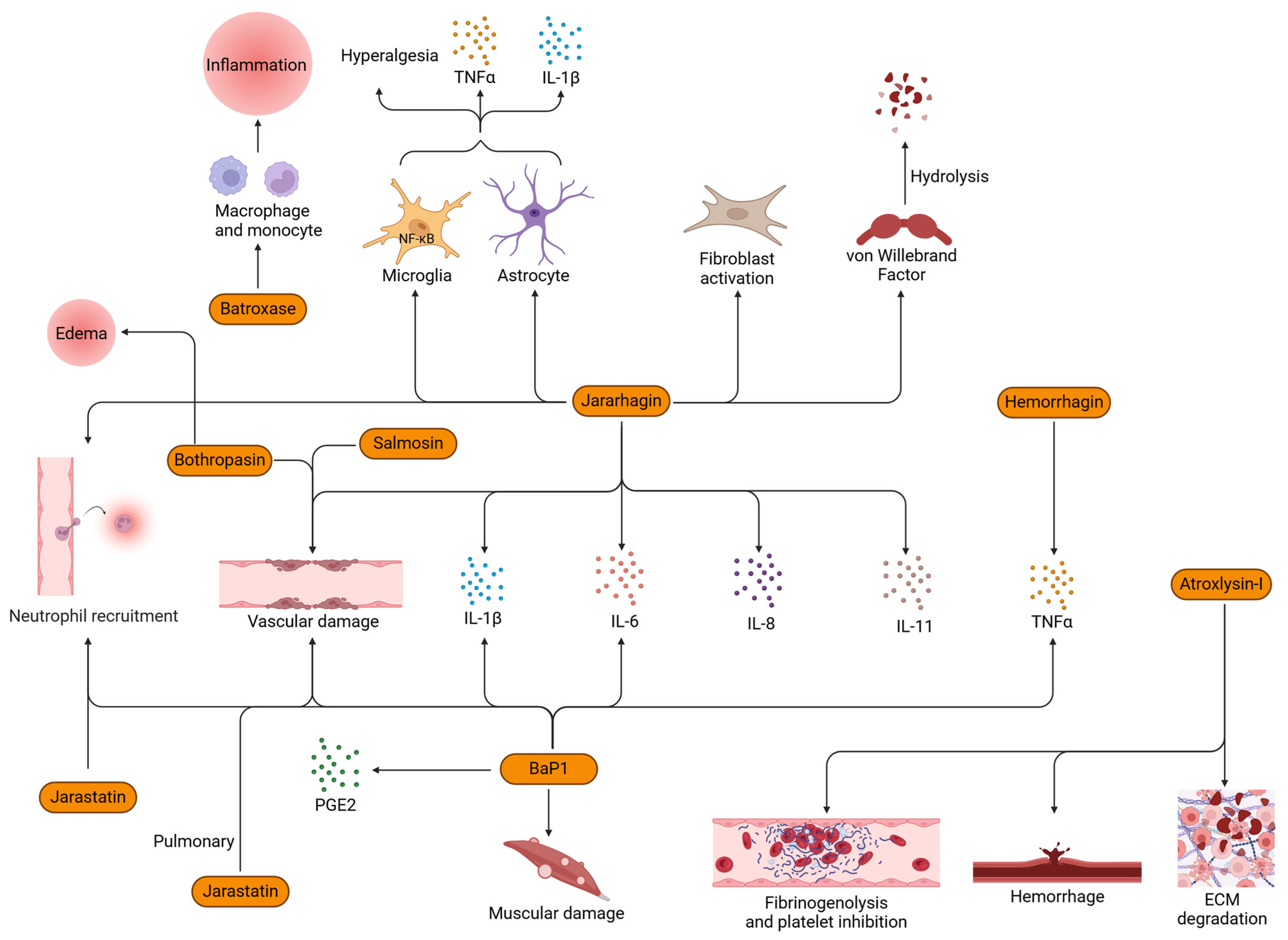 Toxins 16 00519 g002 Toxins 16 00519 g002