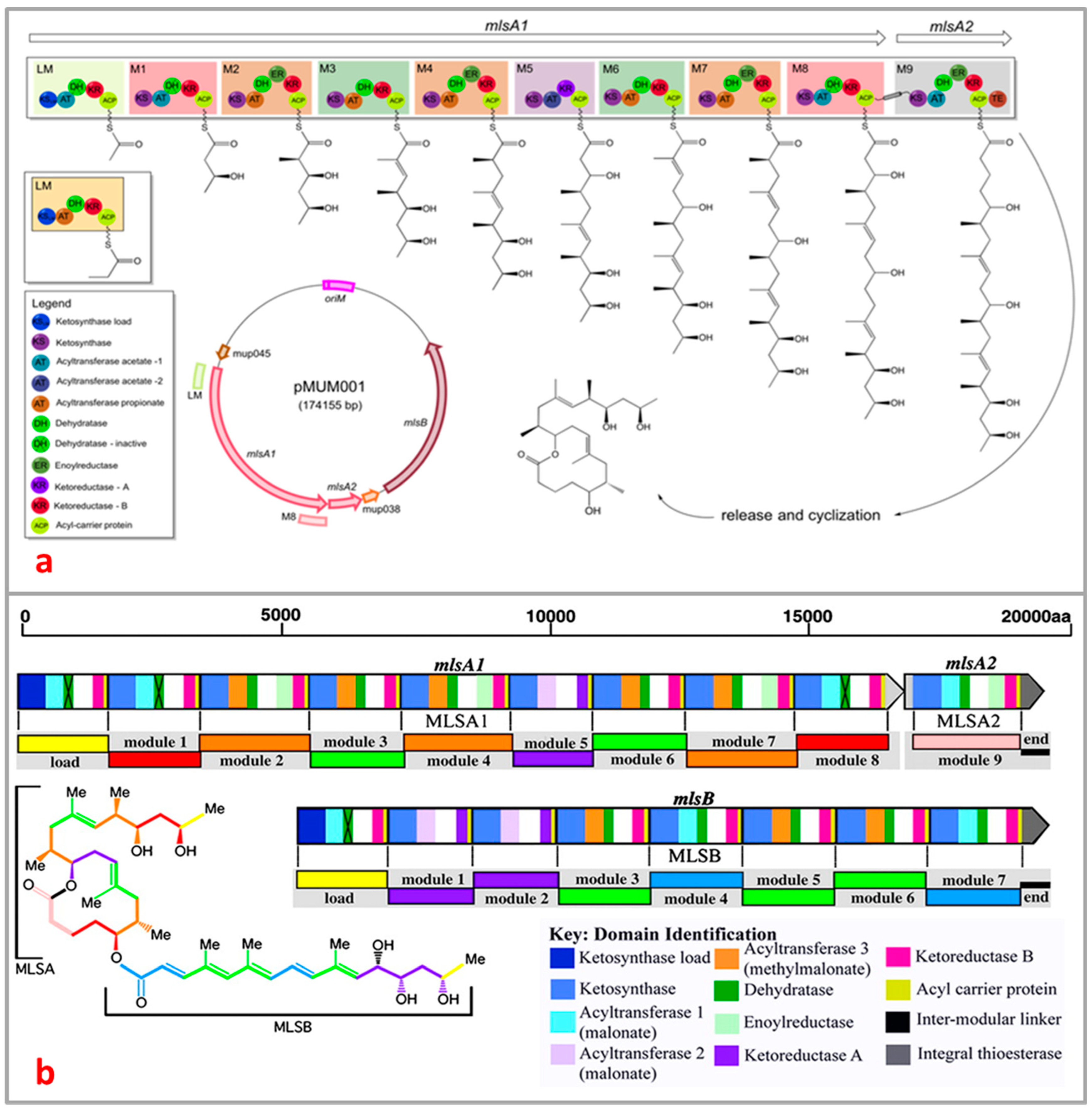 Toxins 16 00528 g005