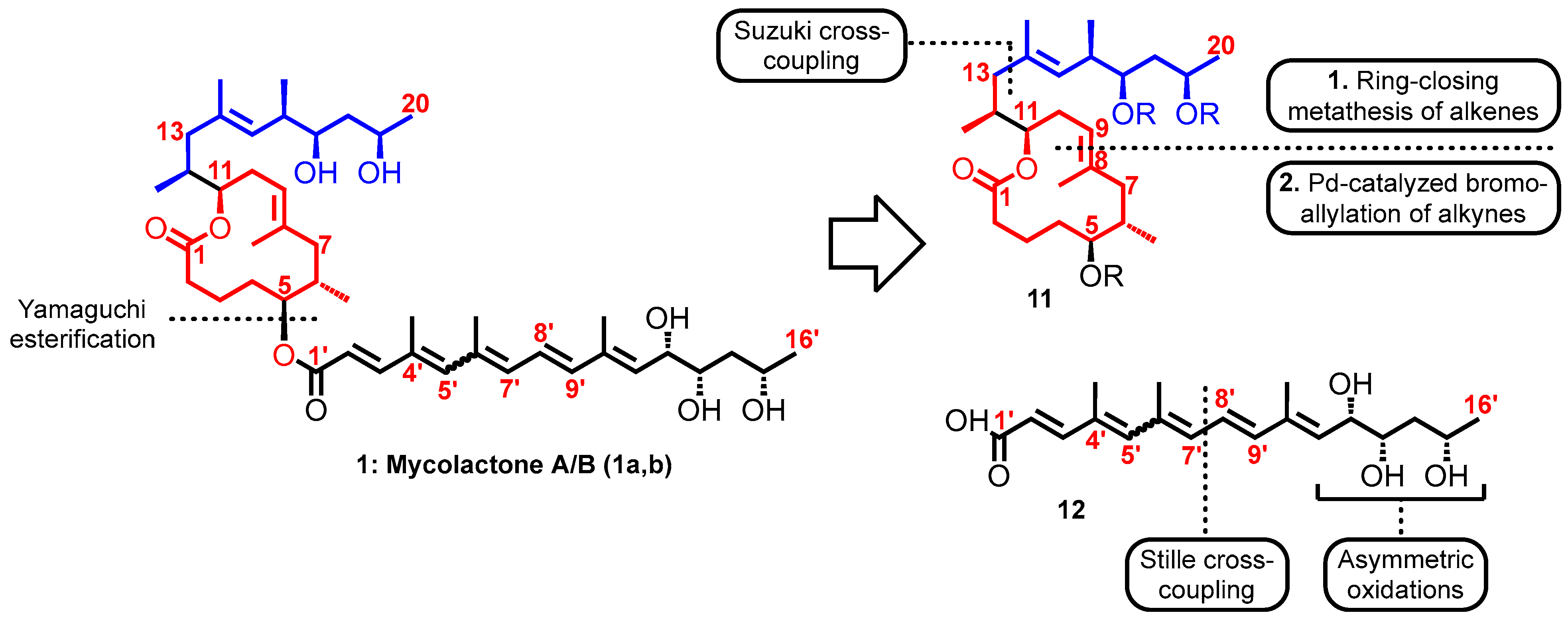 Toxins 16 00528 g008 Toxins 16 00528 g008