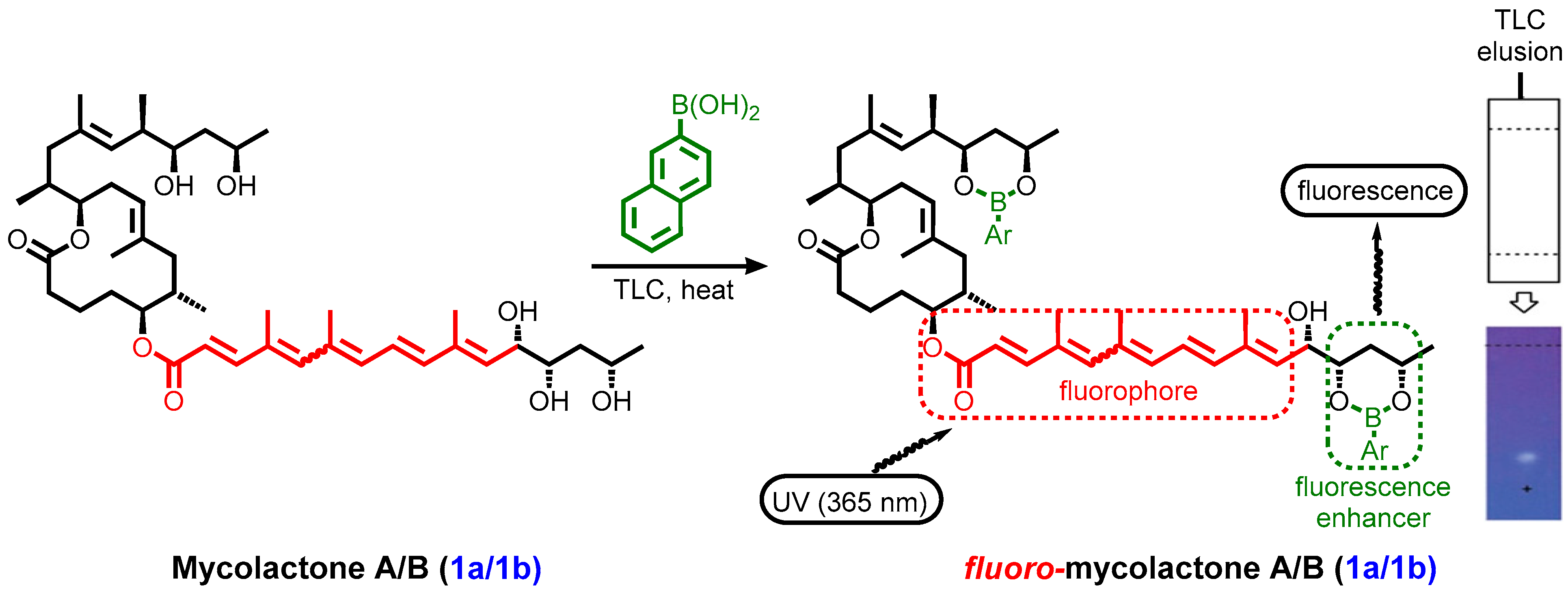Toxins 16 00528 g010 Toxins 16 00528 g010