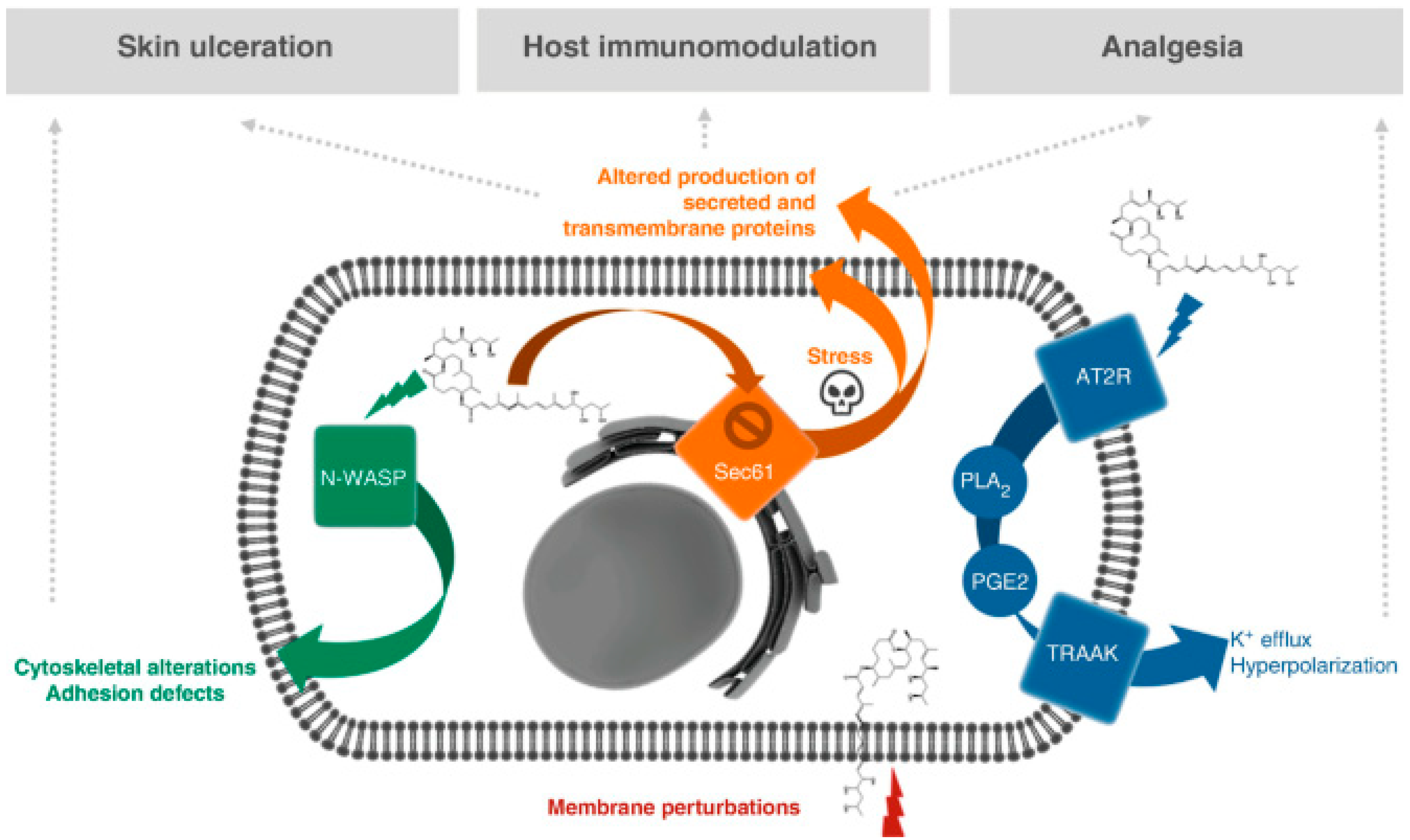 Toxins 16 00528 g011 Toxins 16 00528 g011