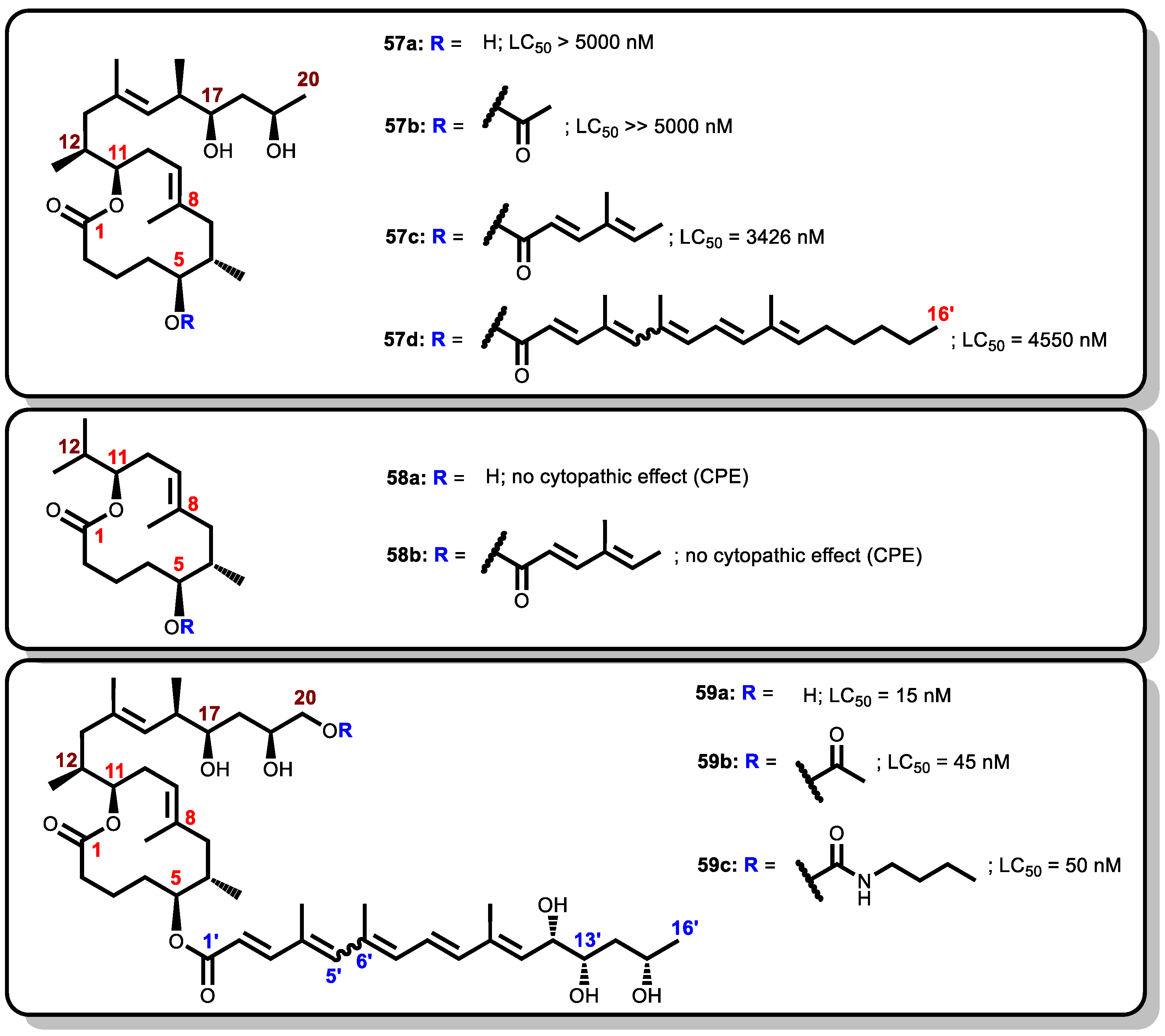 Toxins 16 00528 g013 Toxins 16 00528 g013