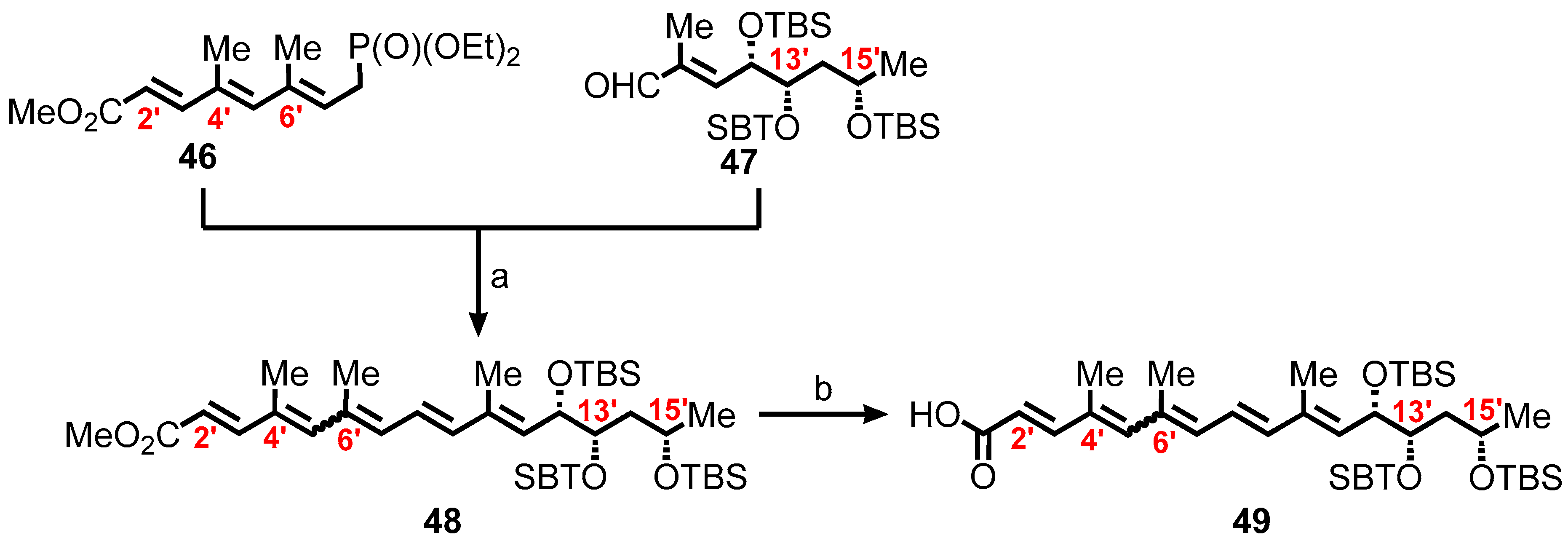 Toxins 16 00528 sch007 Toxins 16 00528 sch007
