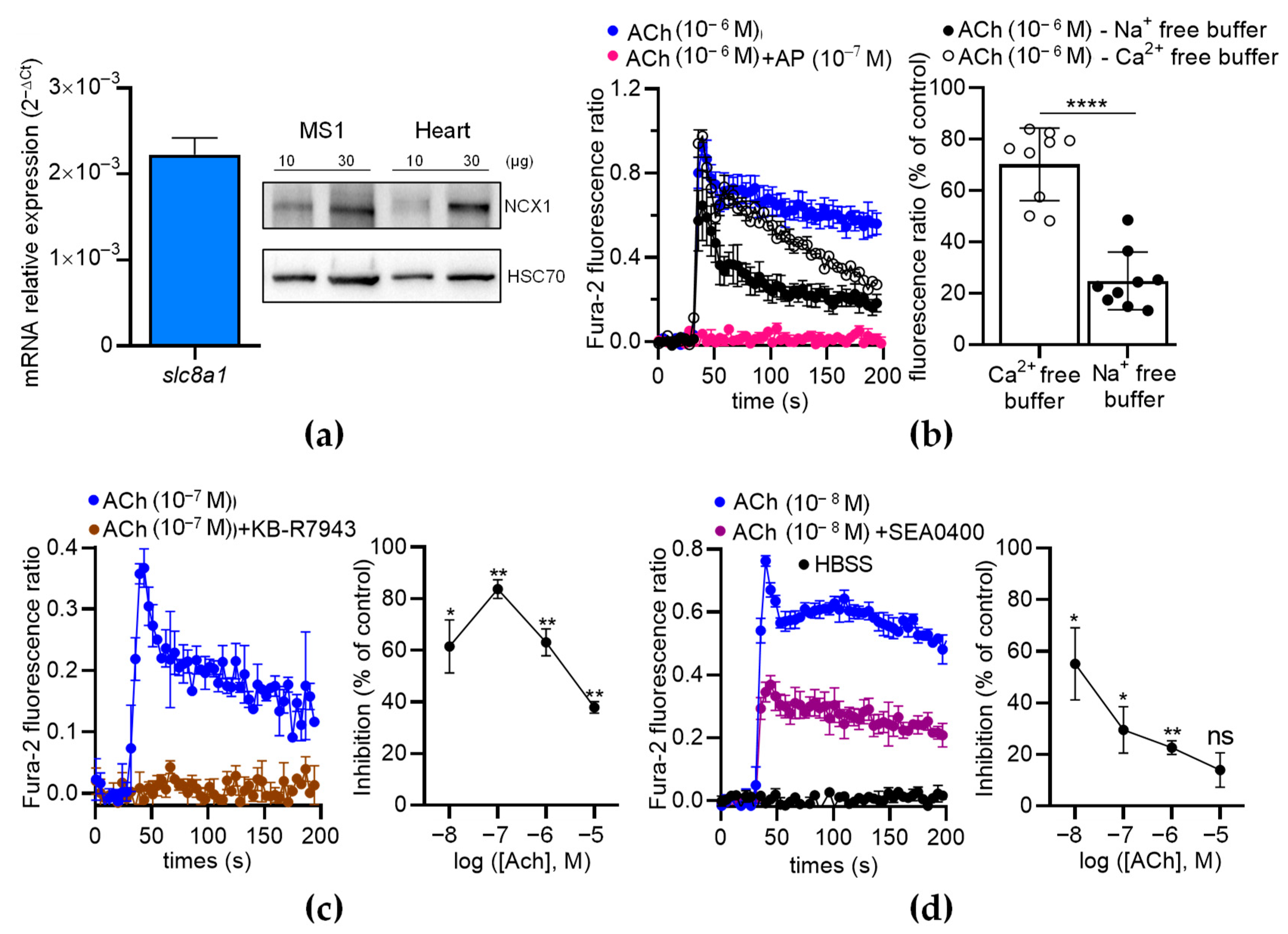 Toxins 16 00533 g008