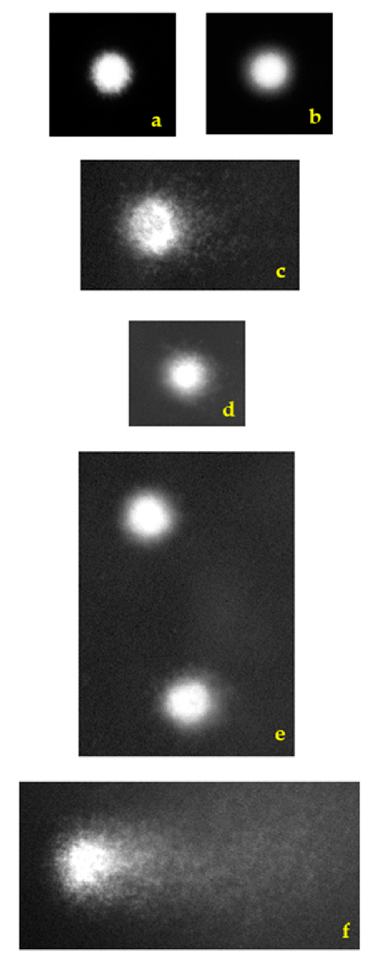 Toxins 16 00534 g005