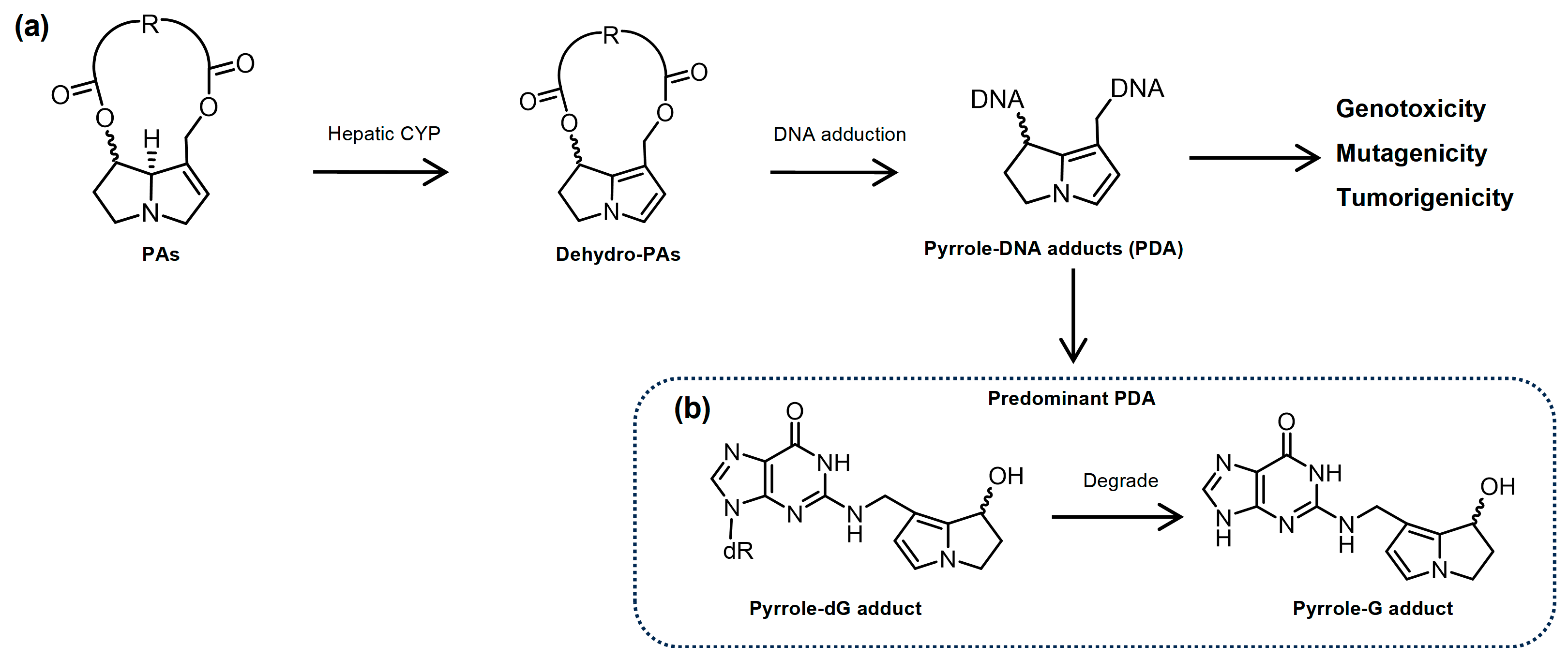 Toxins 16 00538 g001