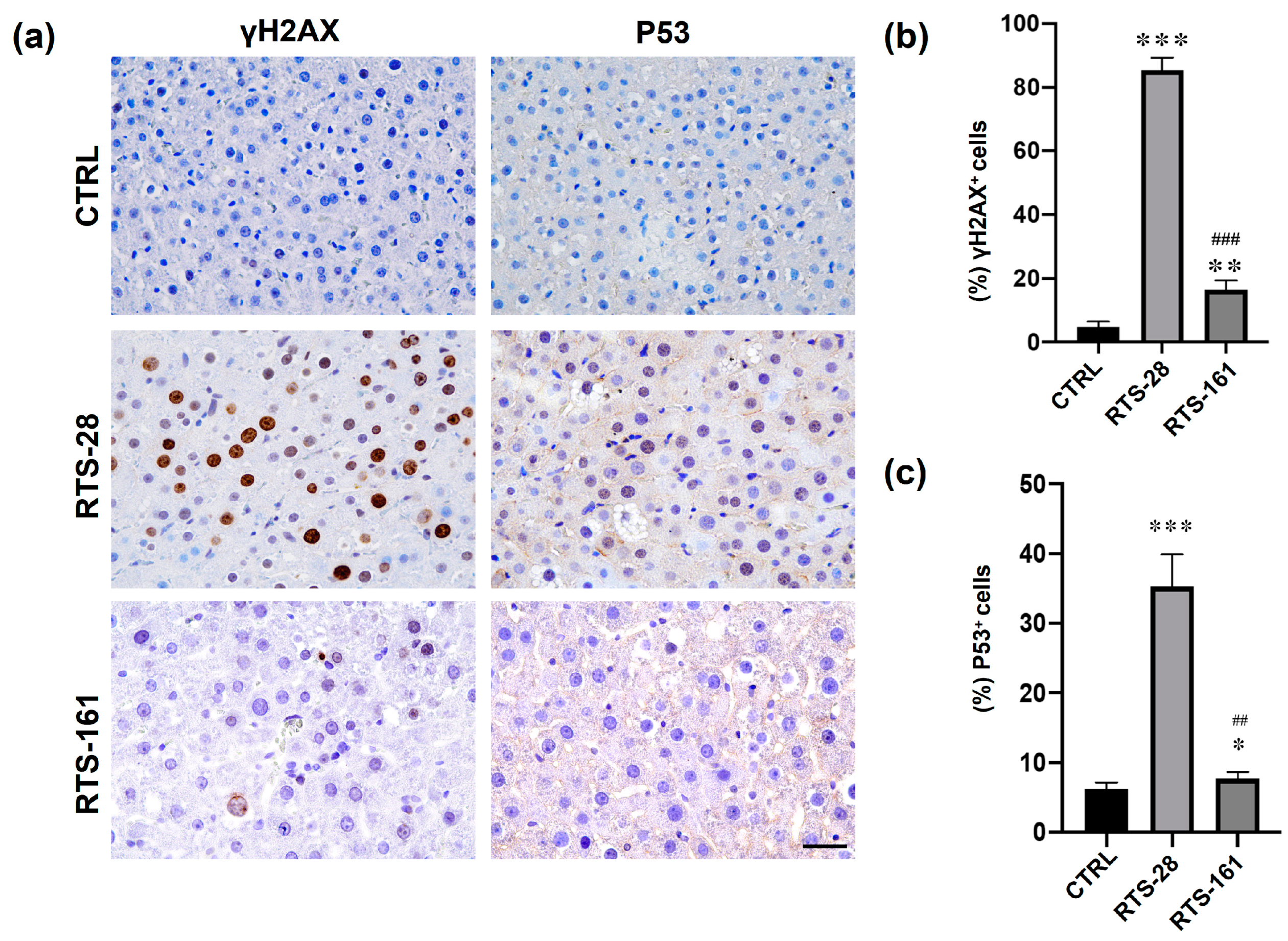 Toxins 16 00538 g006
