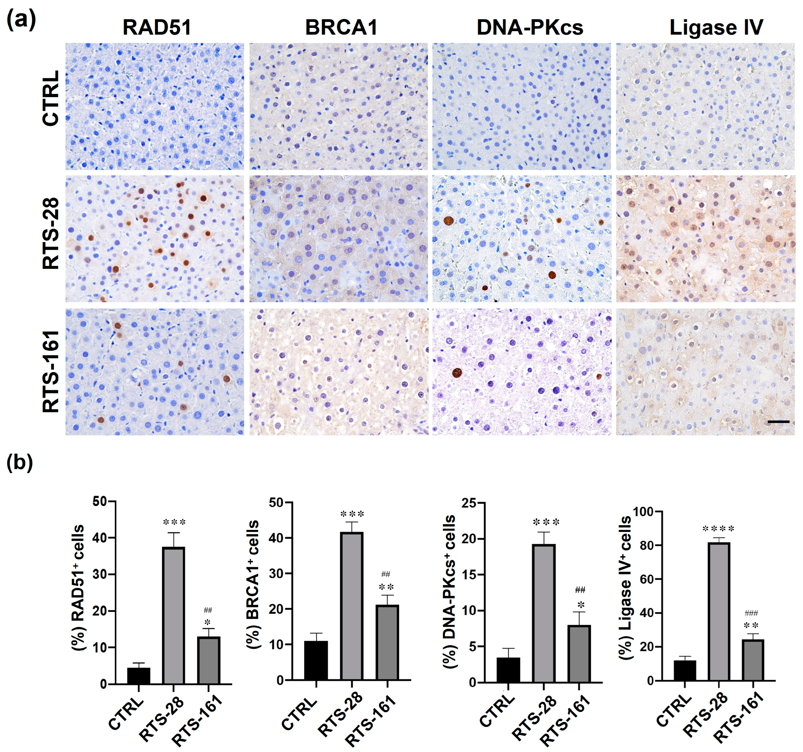 Toxins 16 00538 g008