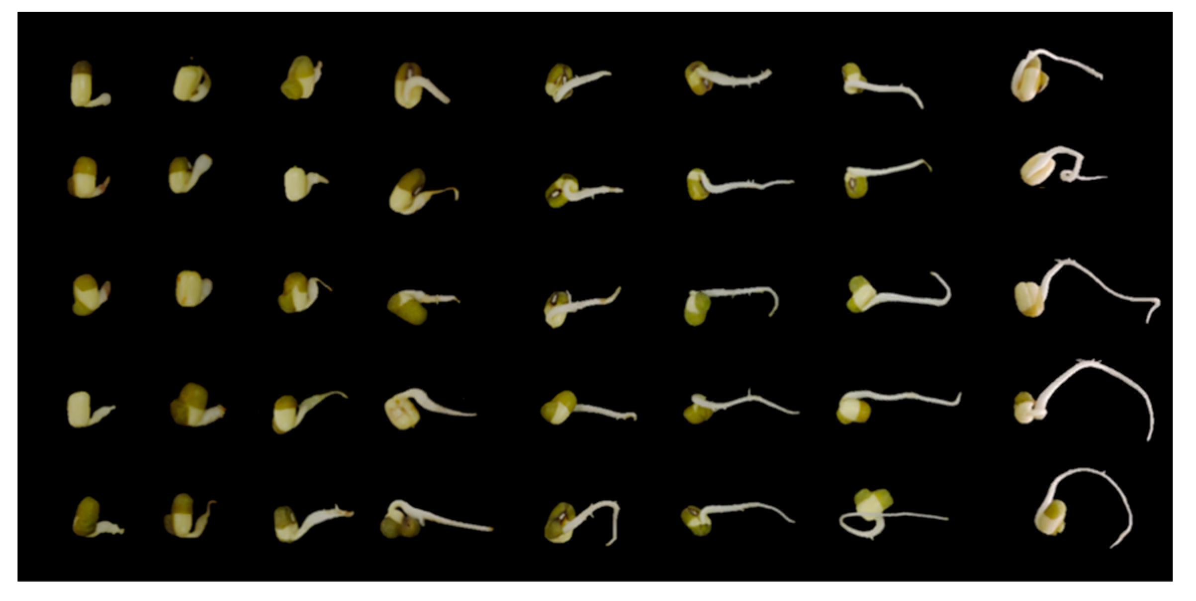 Toxins 16 00548 g004