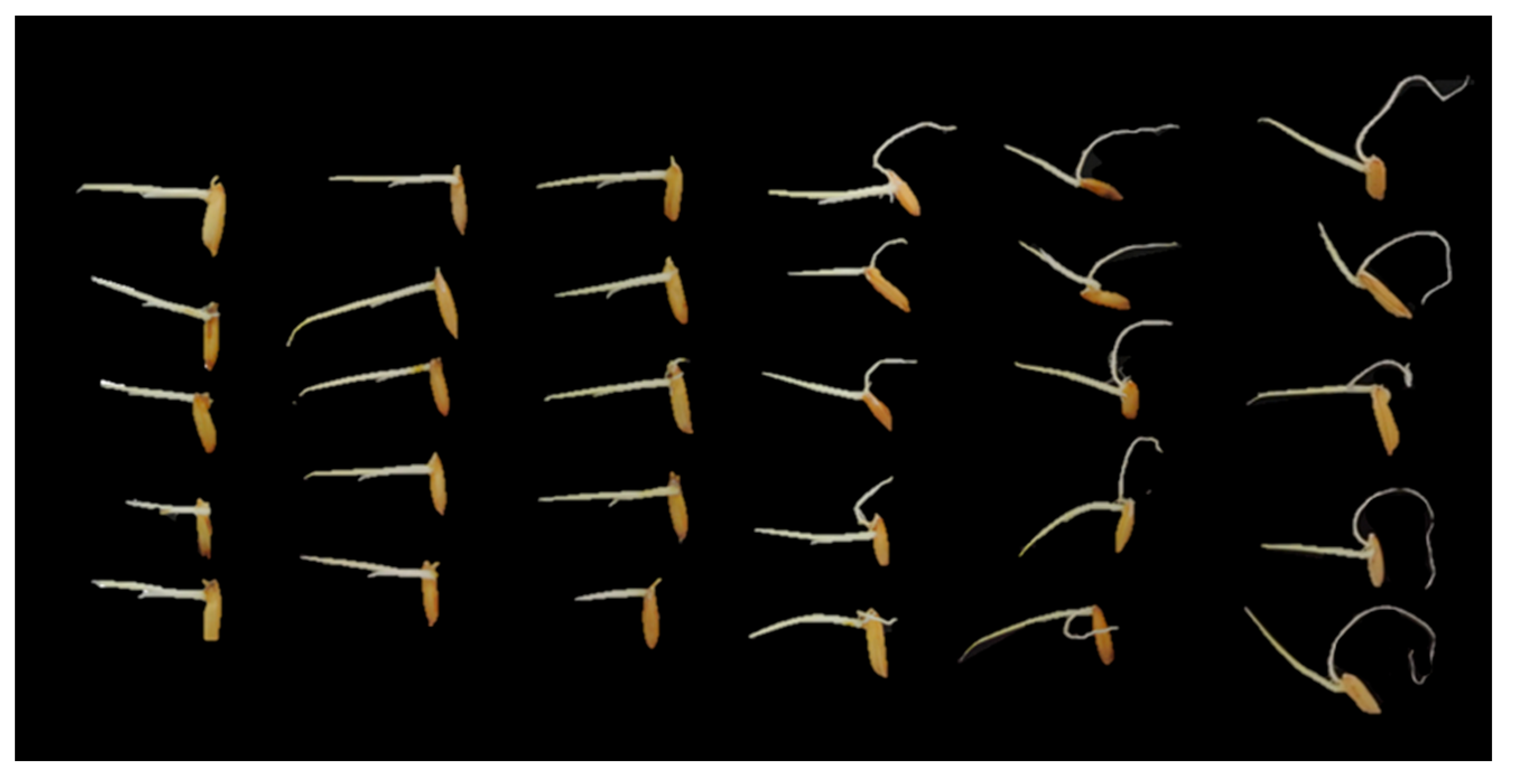 Toxins 16 00548 g005