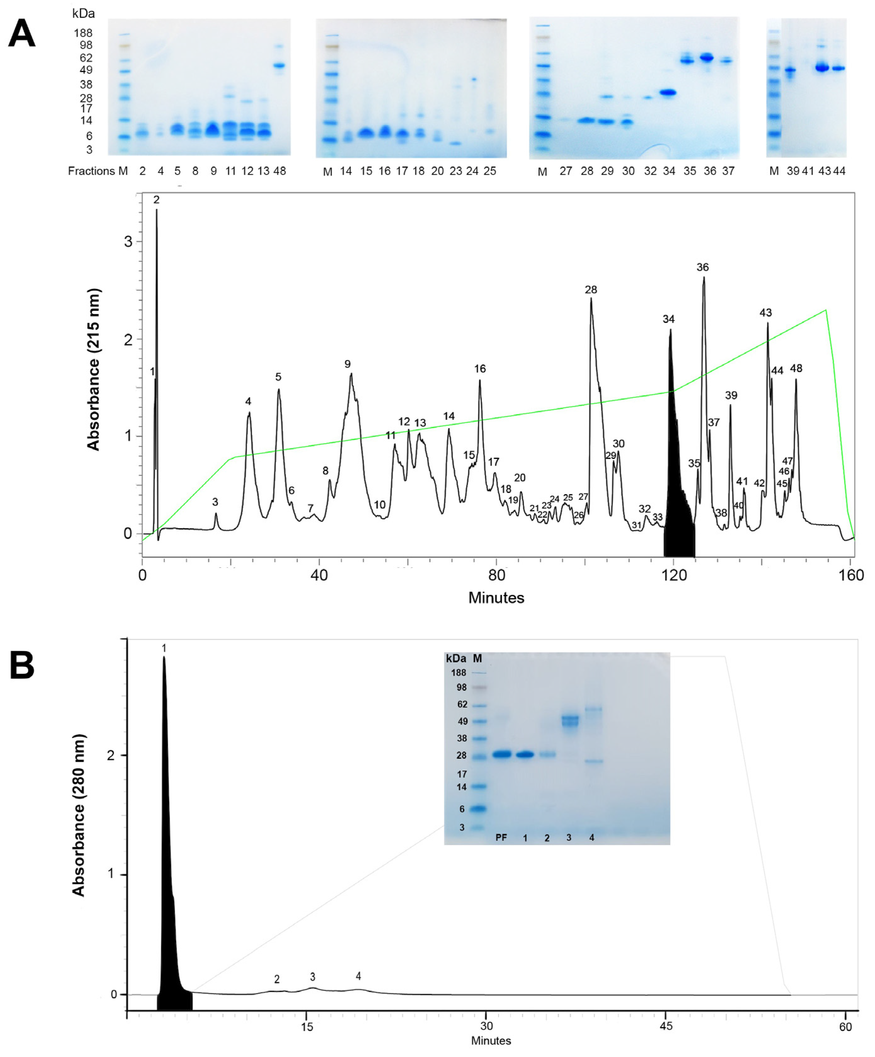 Toxins 16 00550 g001