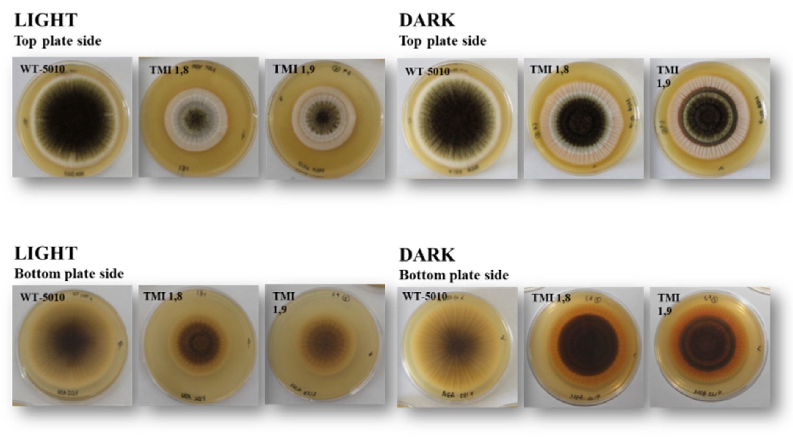 Toxins 17 00002 g002