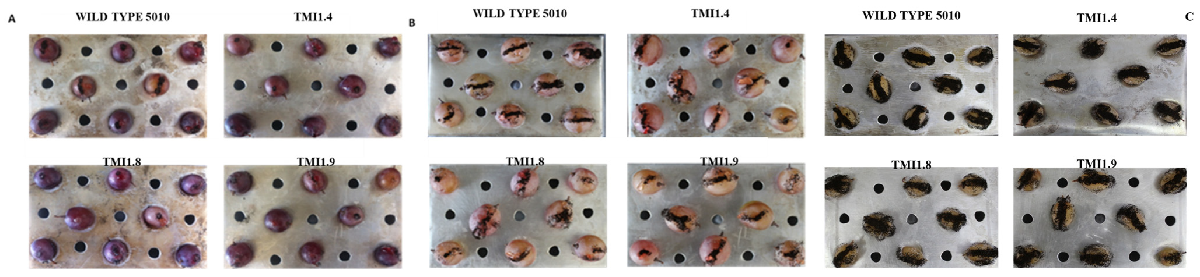 Toxins 17 00002 g005