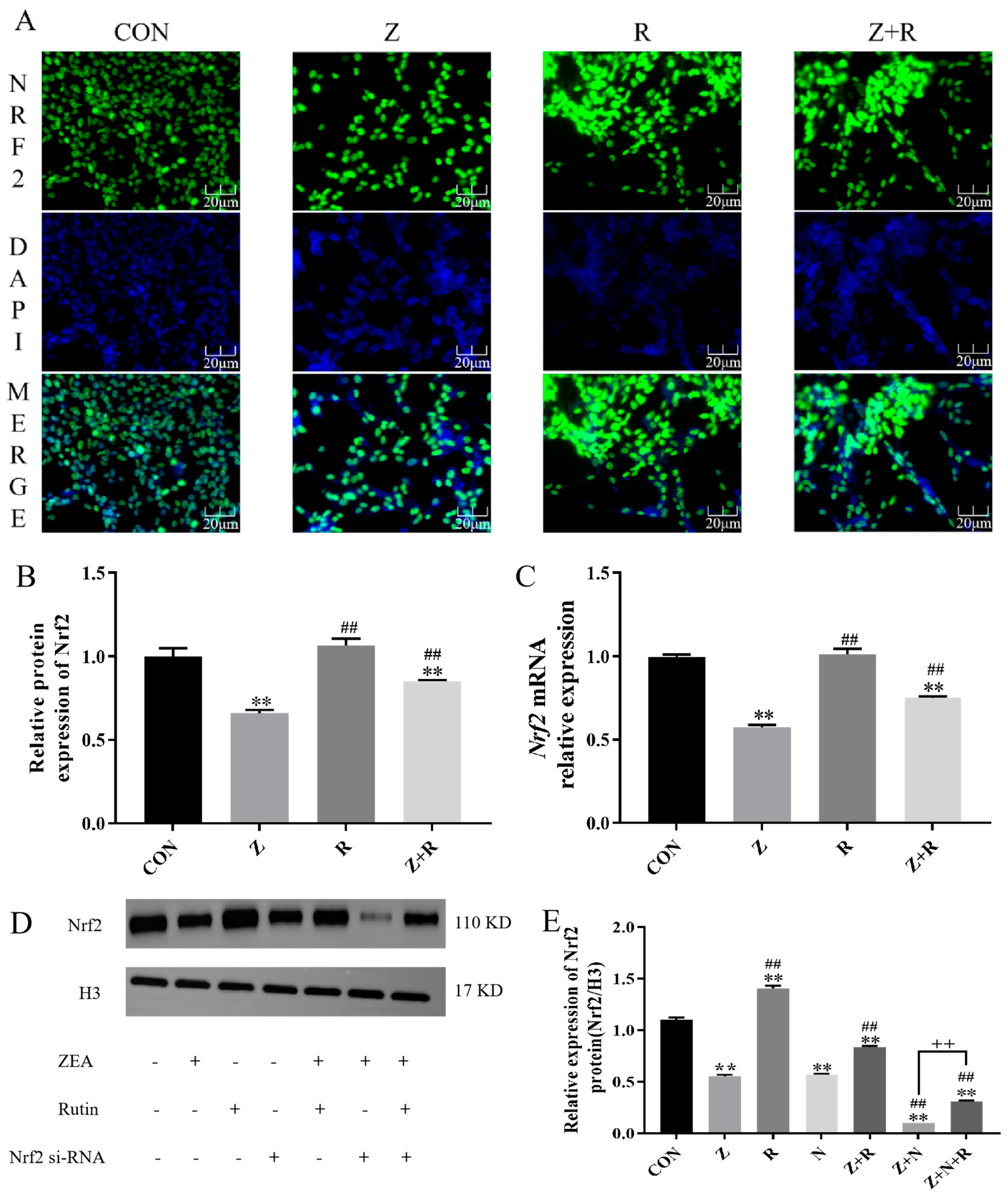 Toxins 17 00007 g002