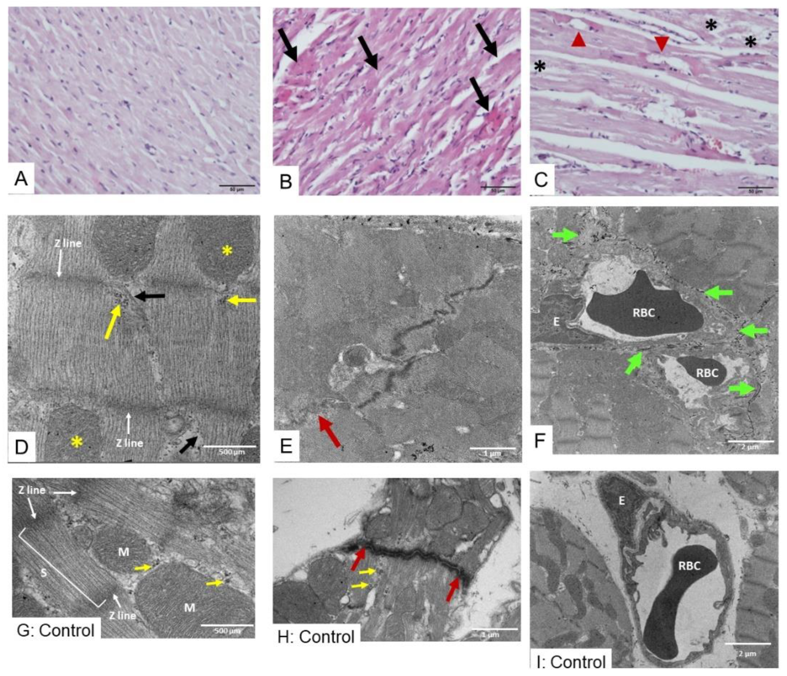 Toxins 17 00010 g002