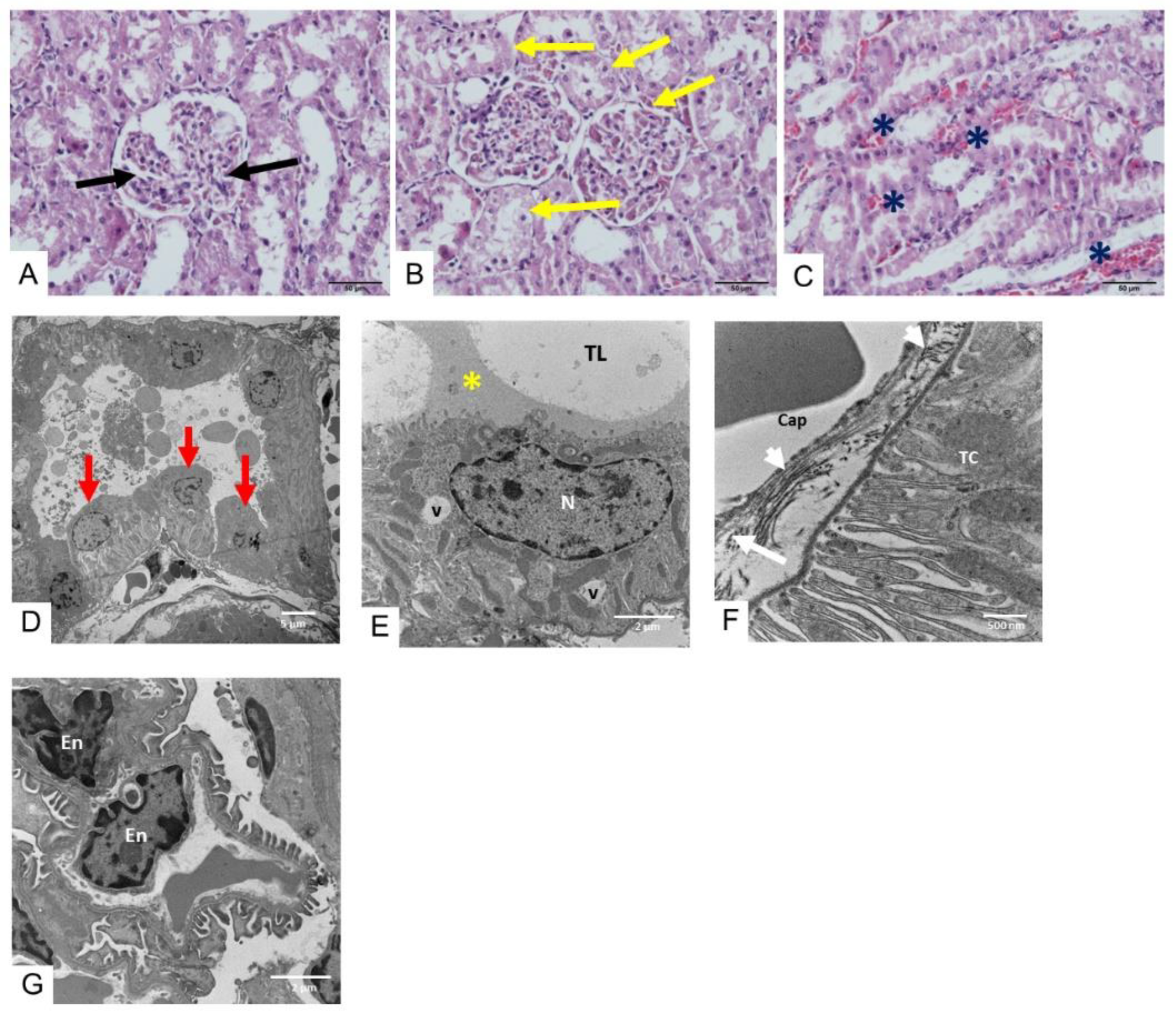 Toxins 17 00010 g004