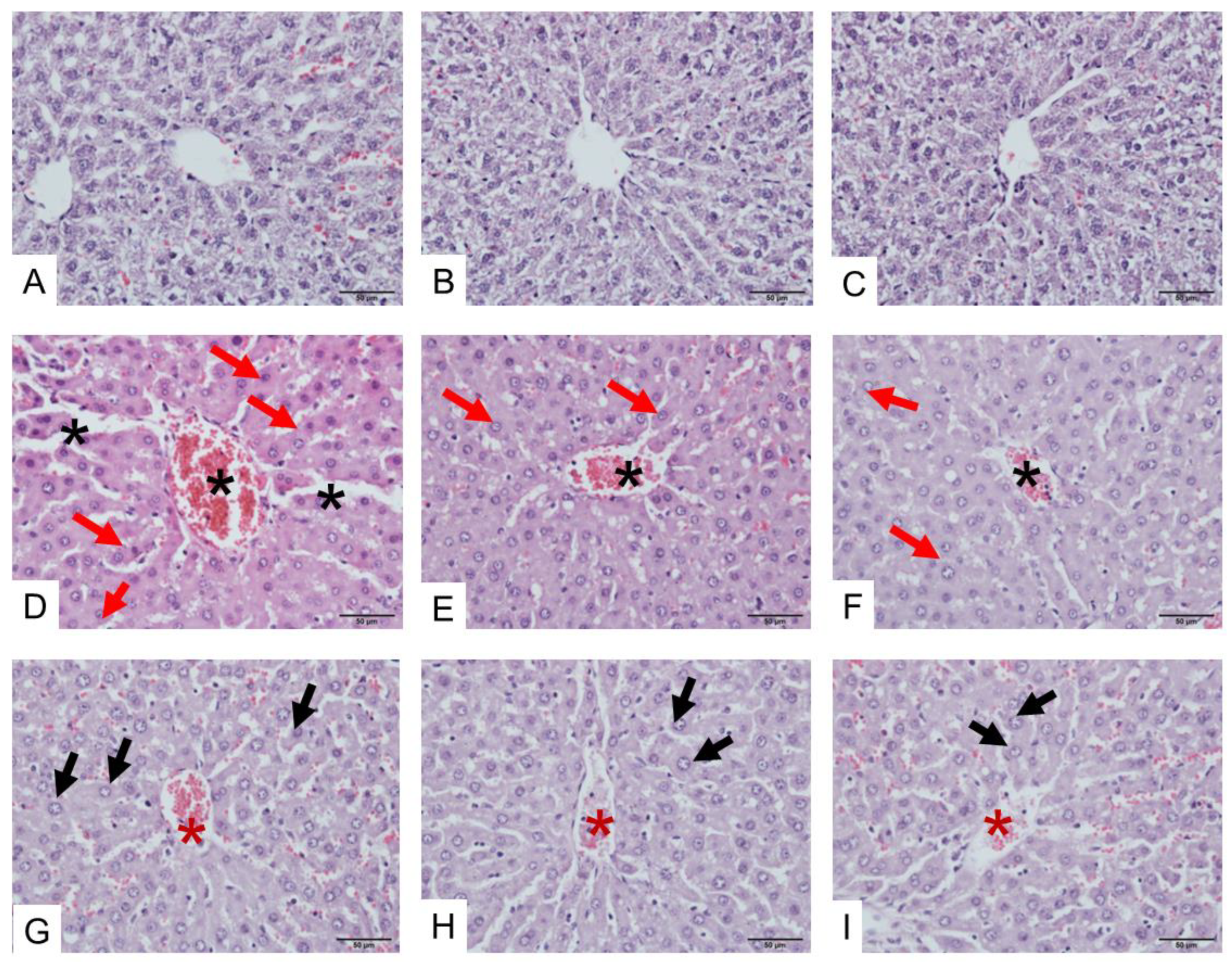 Toxins 17 00010 g006