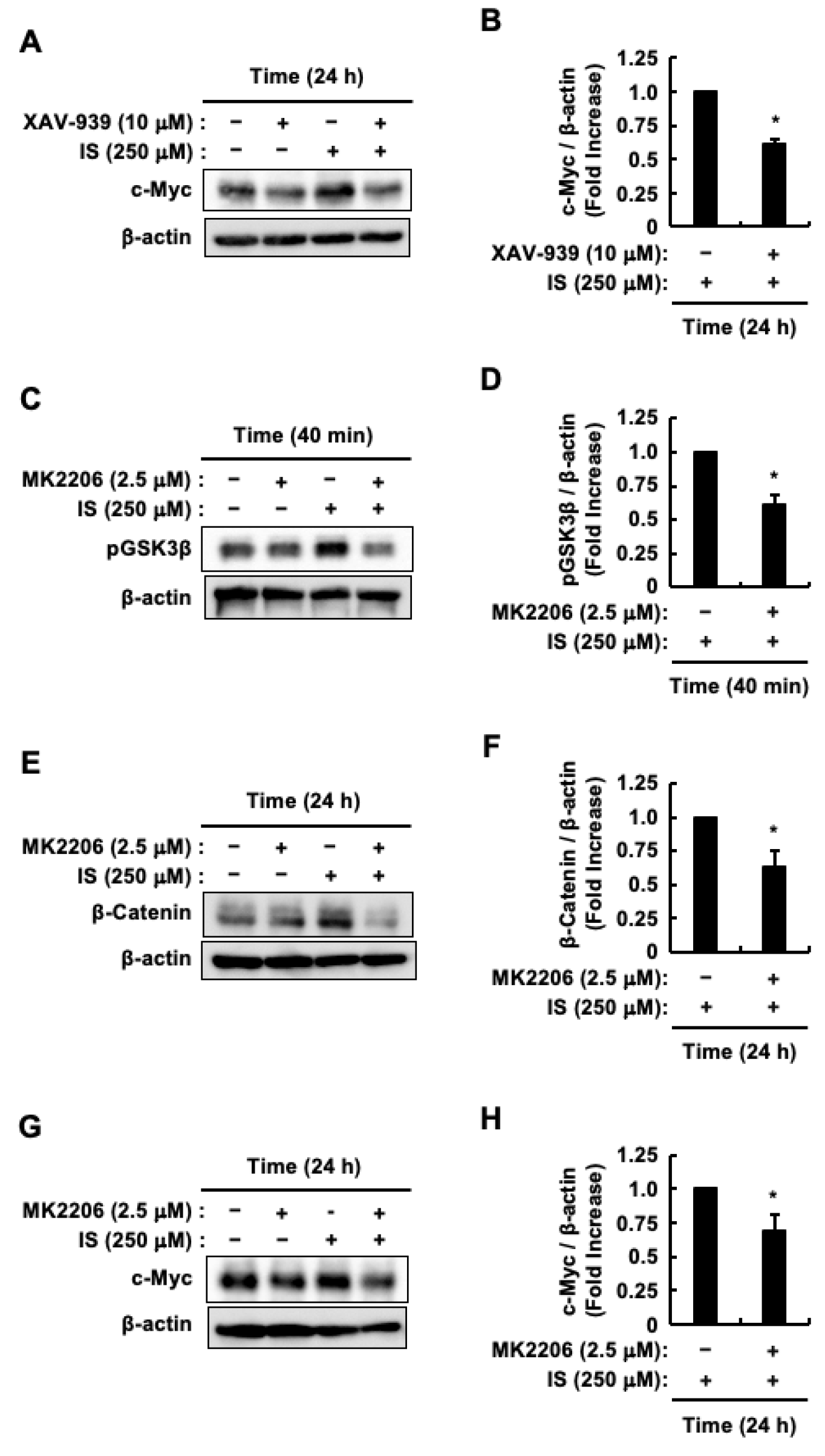 Toxins 17 00017 g003