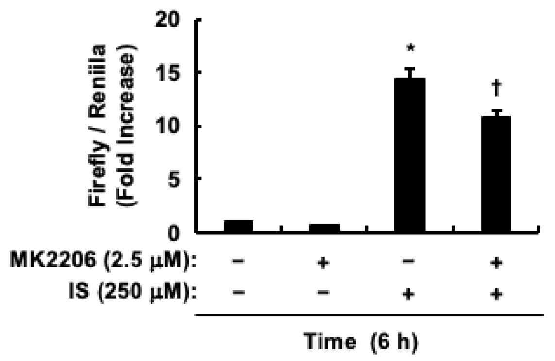 Toxins 17 00017 g005