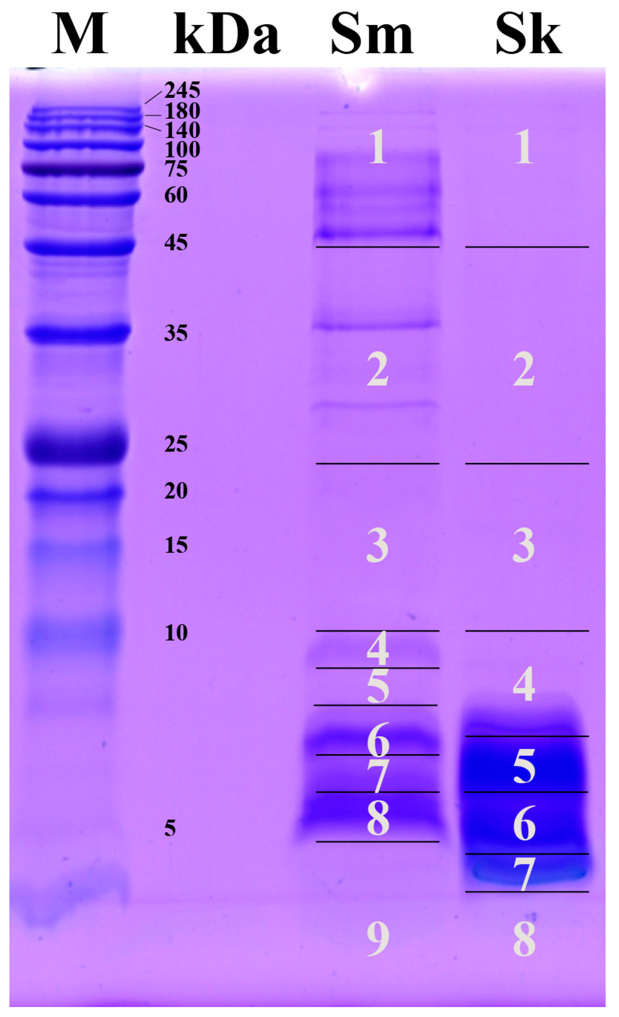 Toxins 17 00019 g001