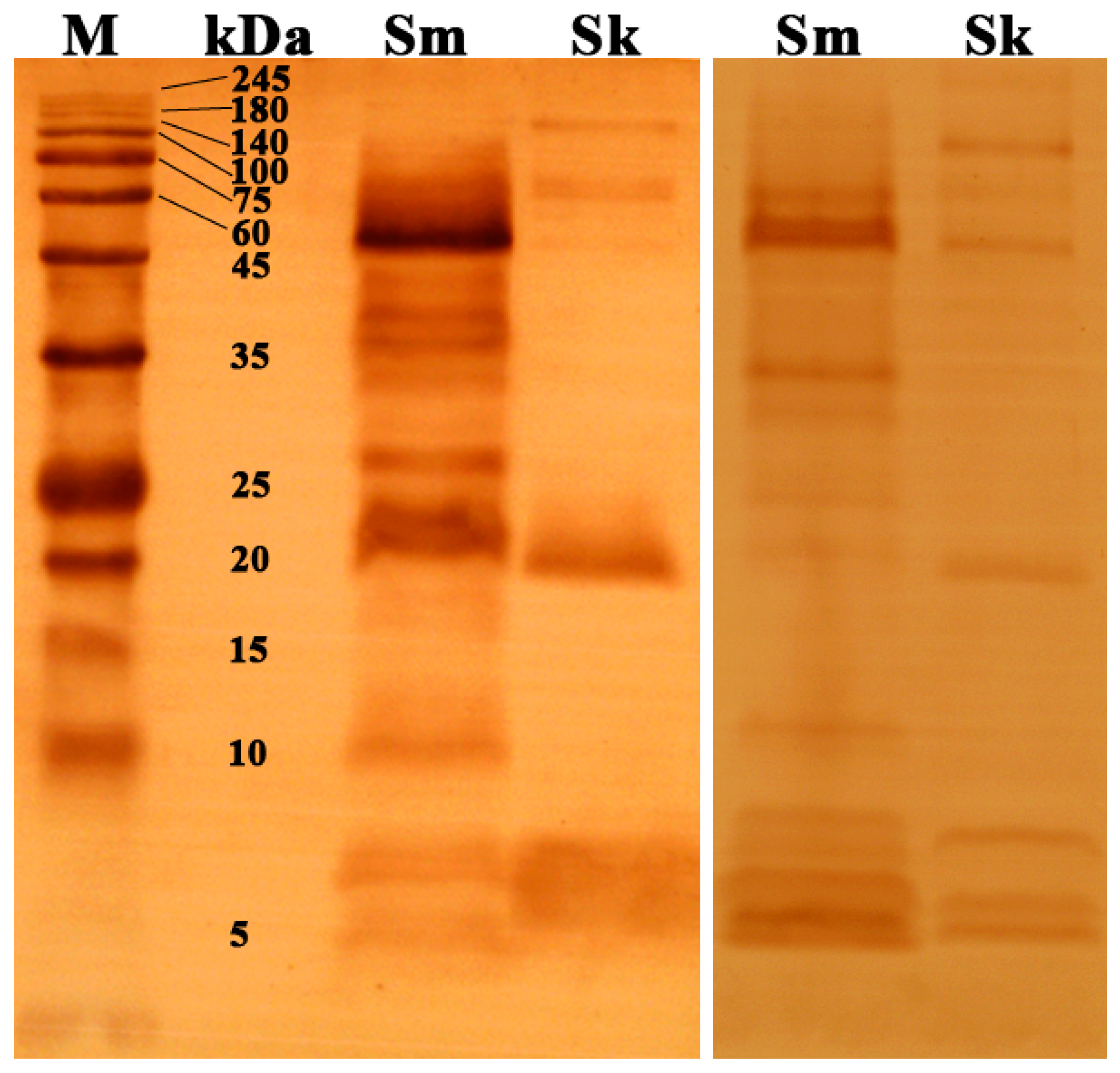Toxins 17 00019 g004
