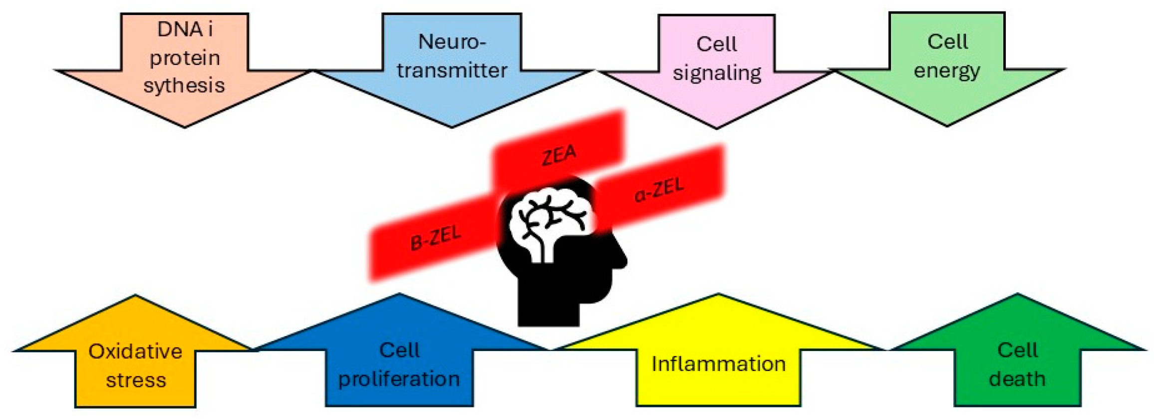 Toxins 17 00024 g002