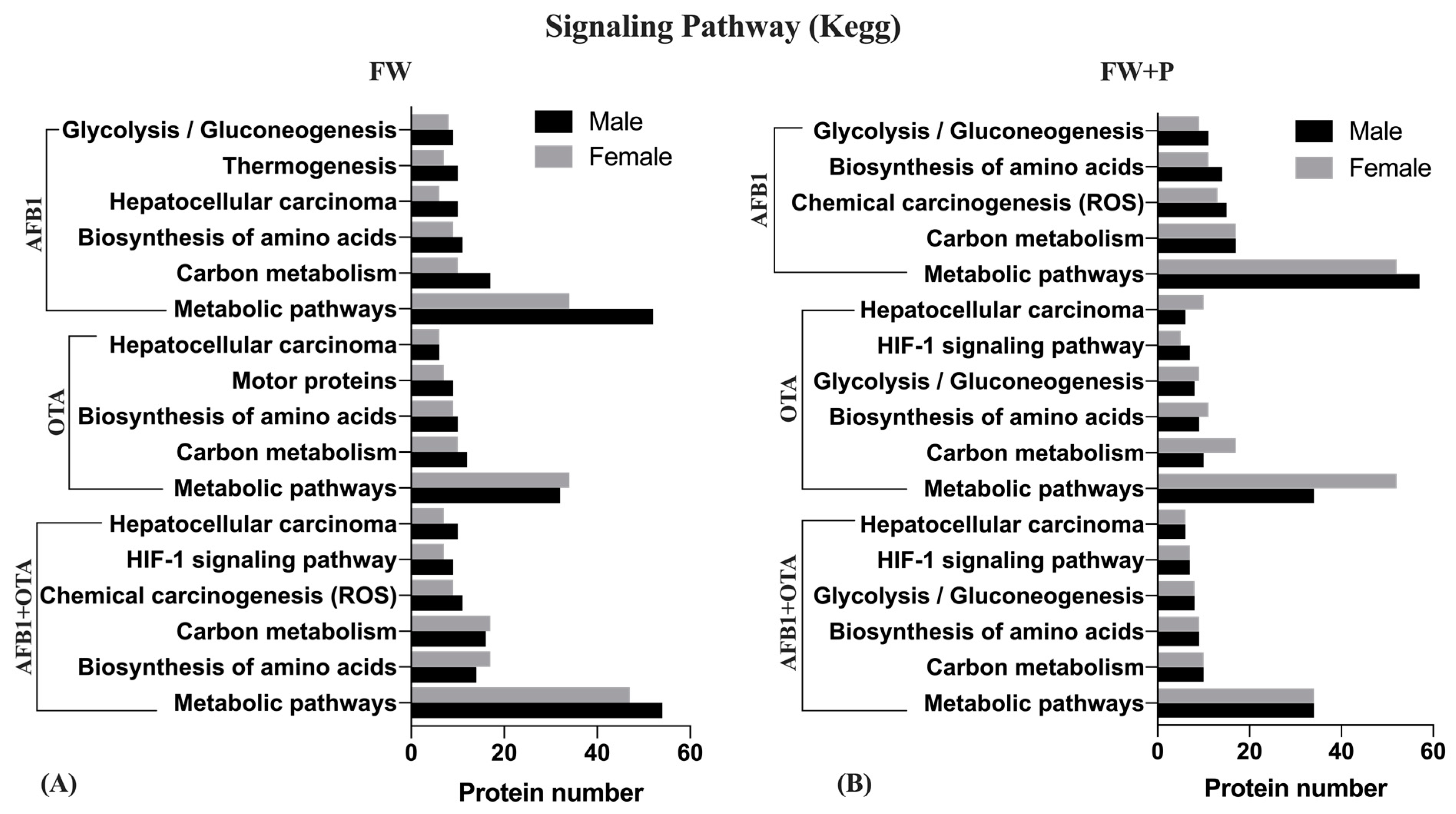 Toxins 17 00029 g007