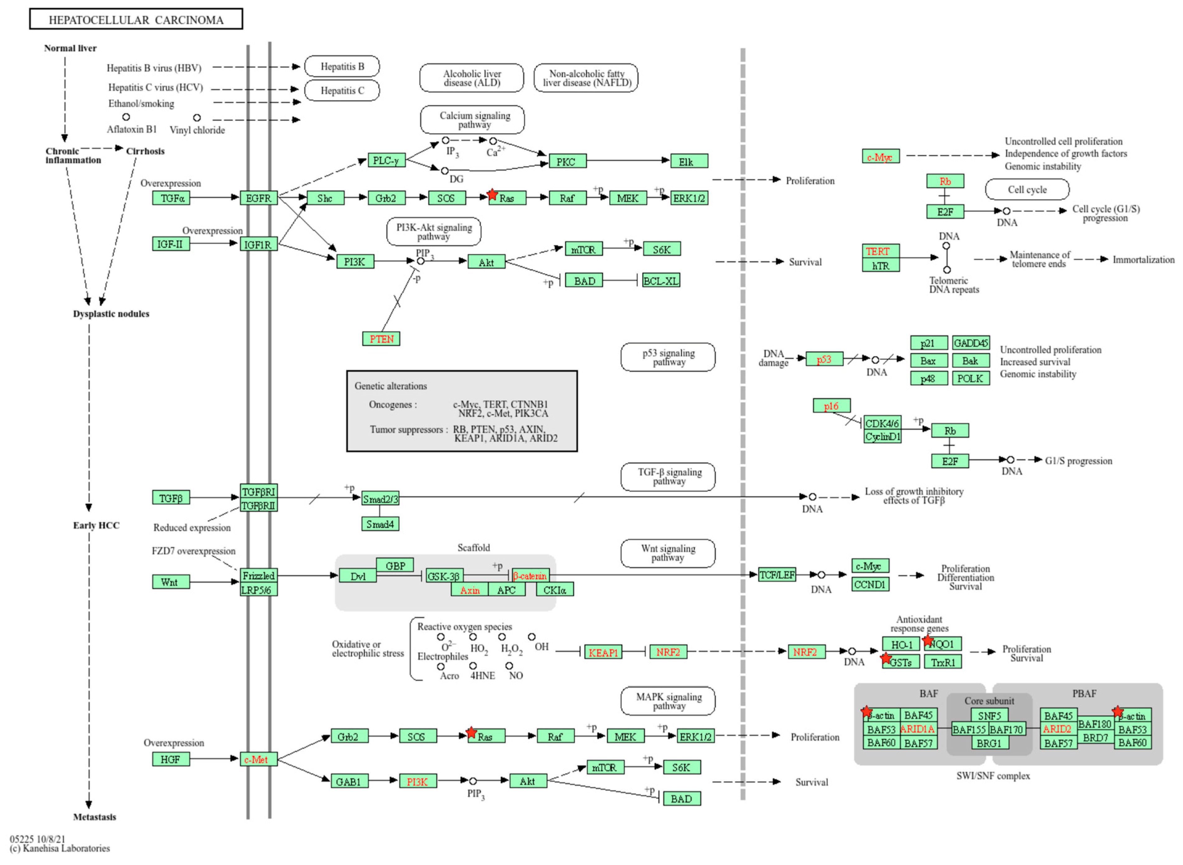 Toxins 17 00029 g009