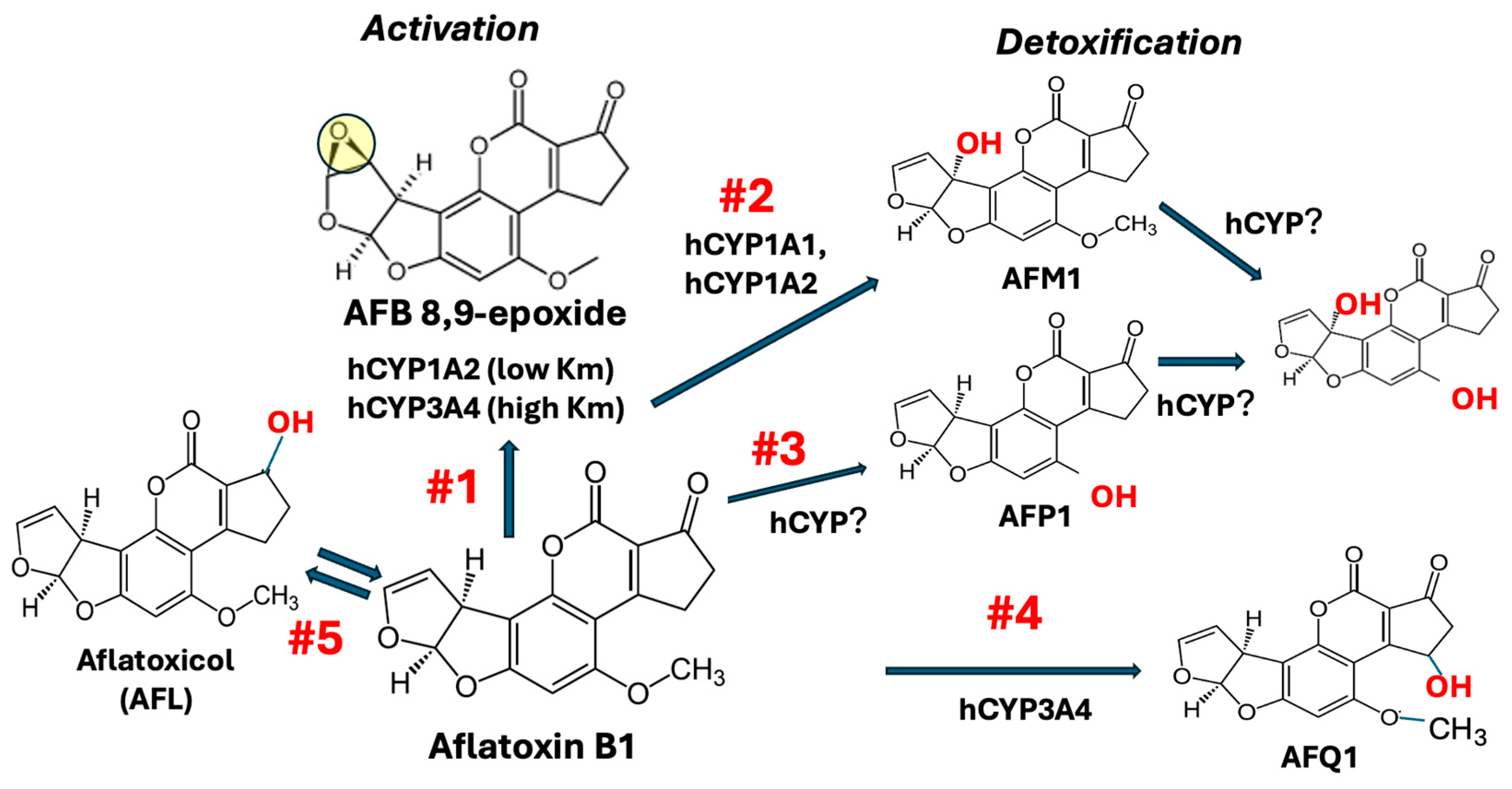 Toxins 17 00030 g001 Toxins 17 00030 g001